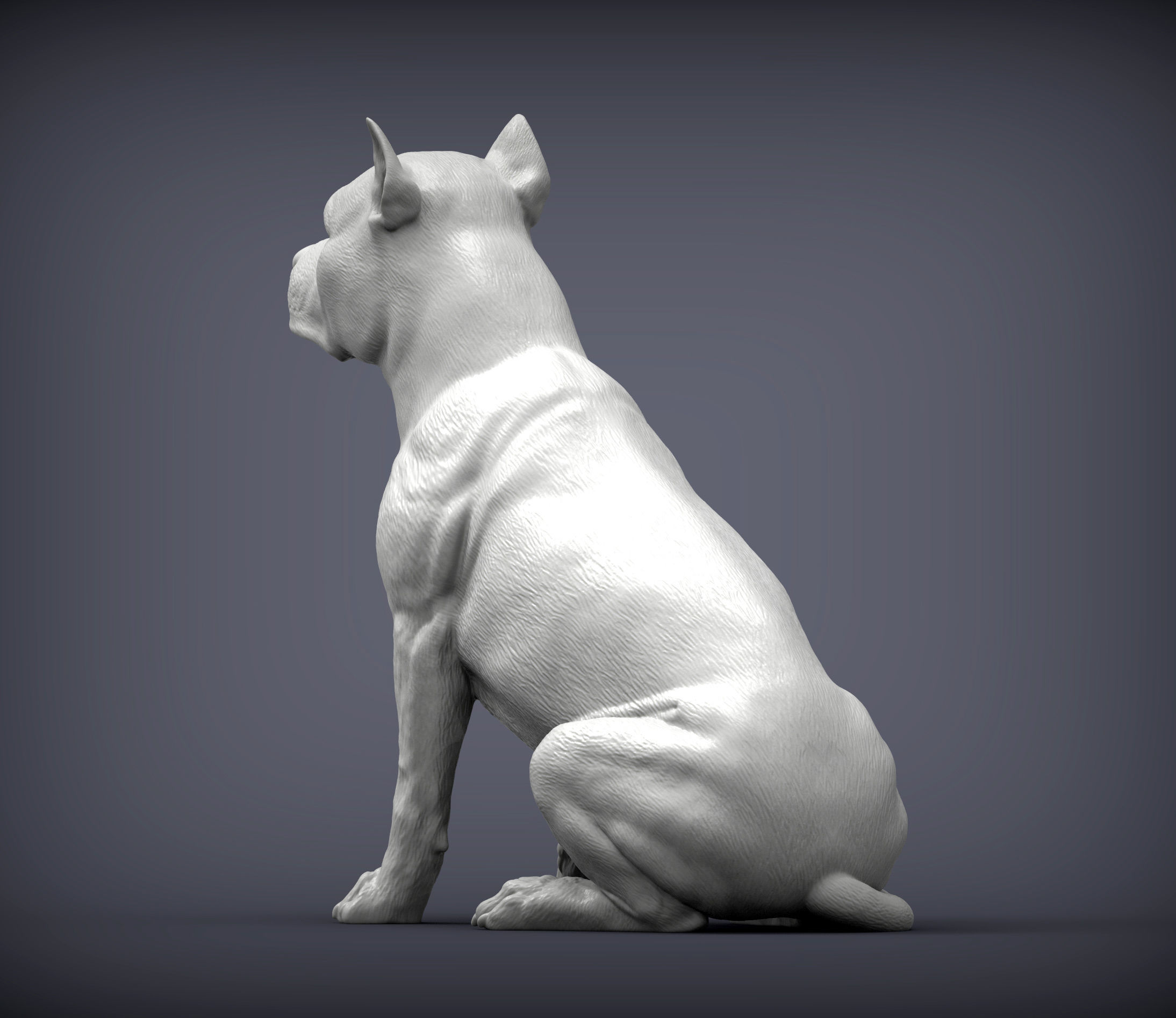 American Staffordshire Terrier 3D print model_6