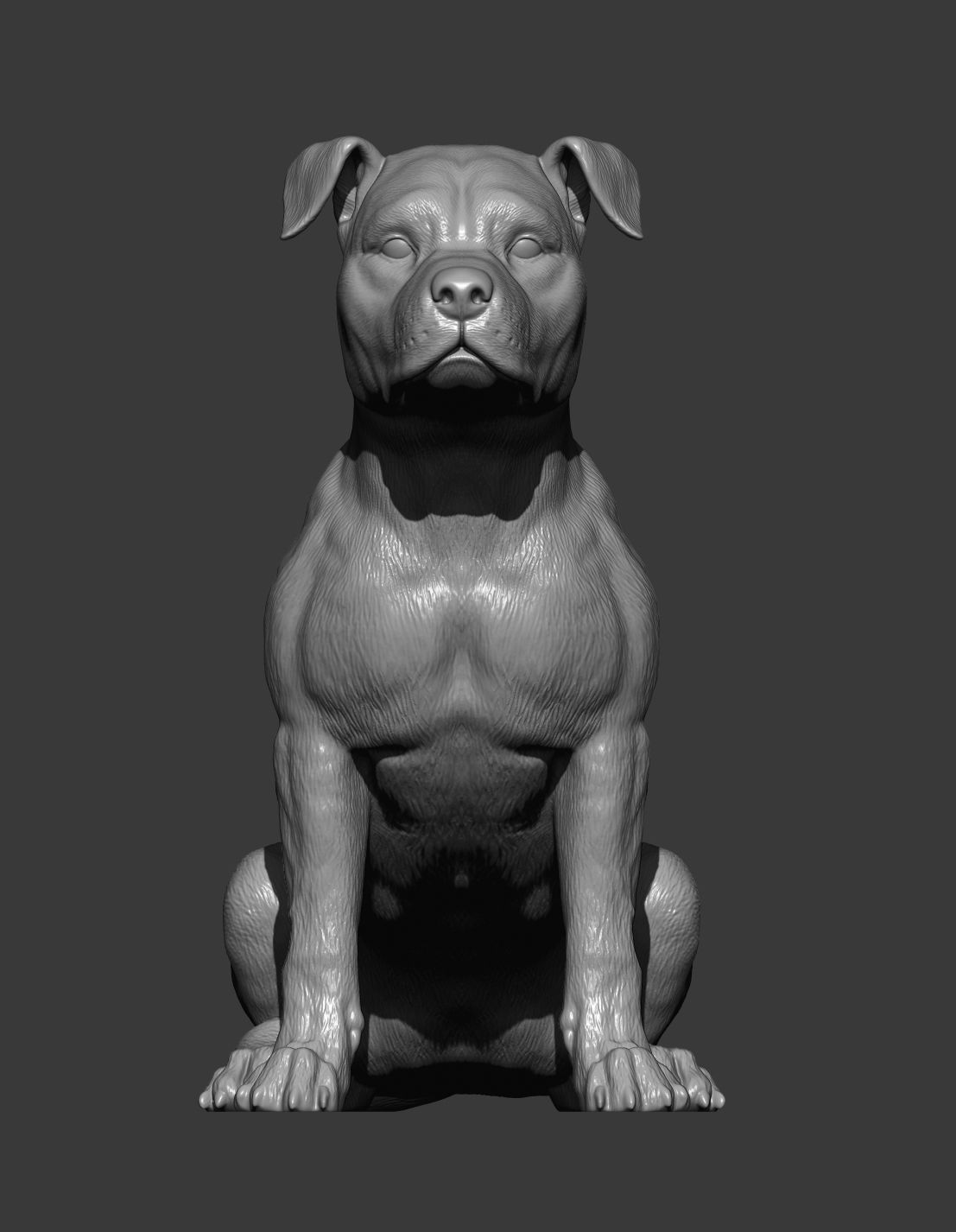 American Staffordshire Terrier 3D print model_13