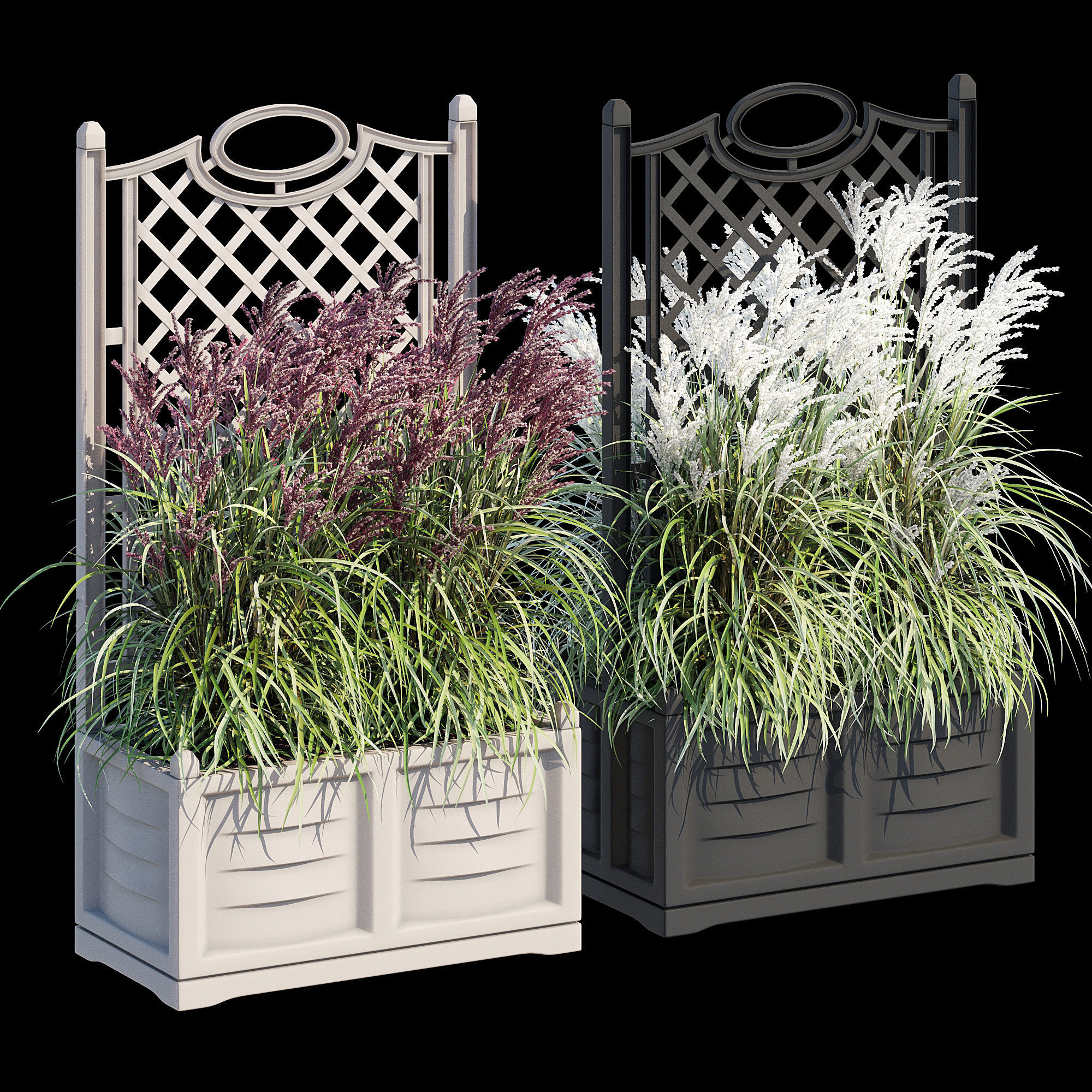 Bama with trellis 3D model_7