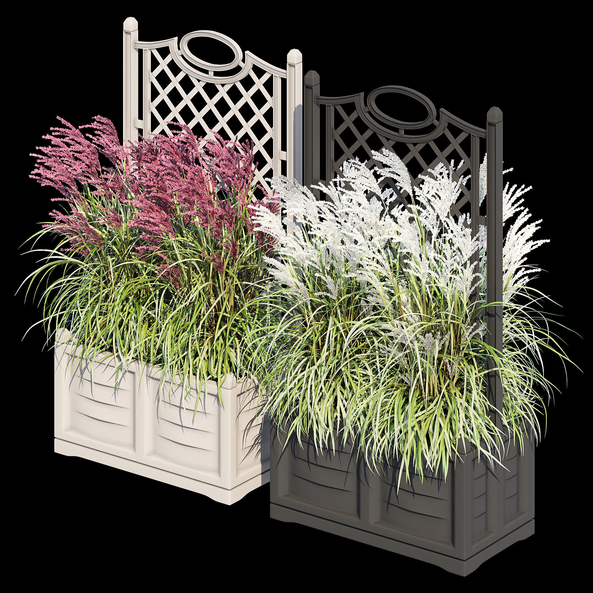 Bama with trellis 3D model_5