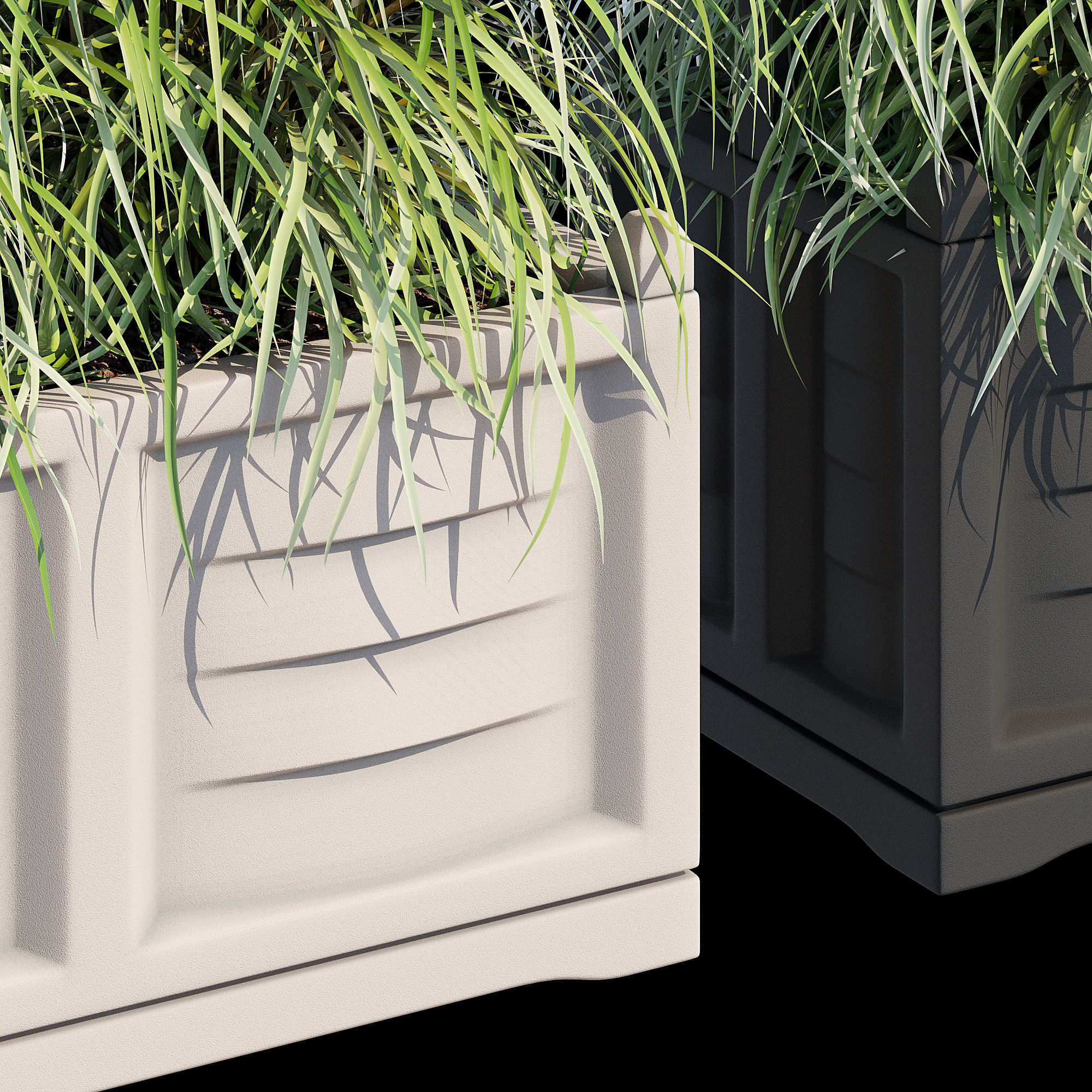 Bama with trellis 3D model_8