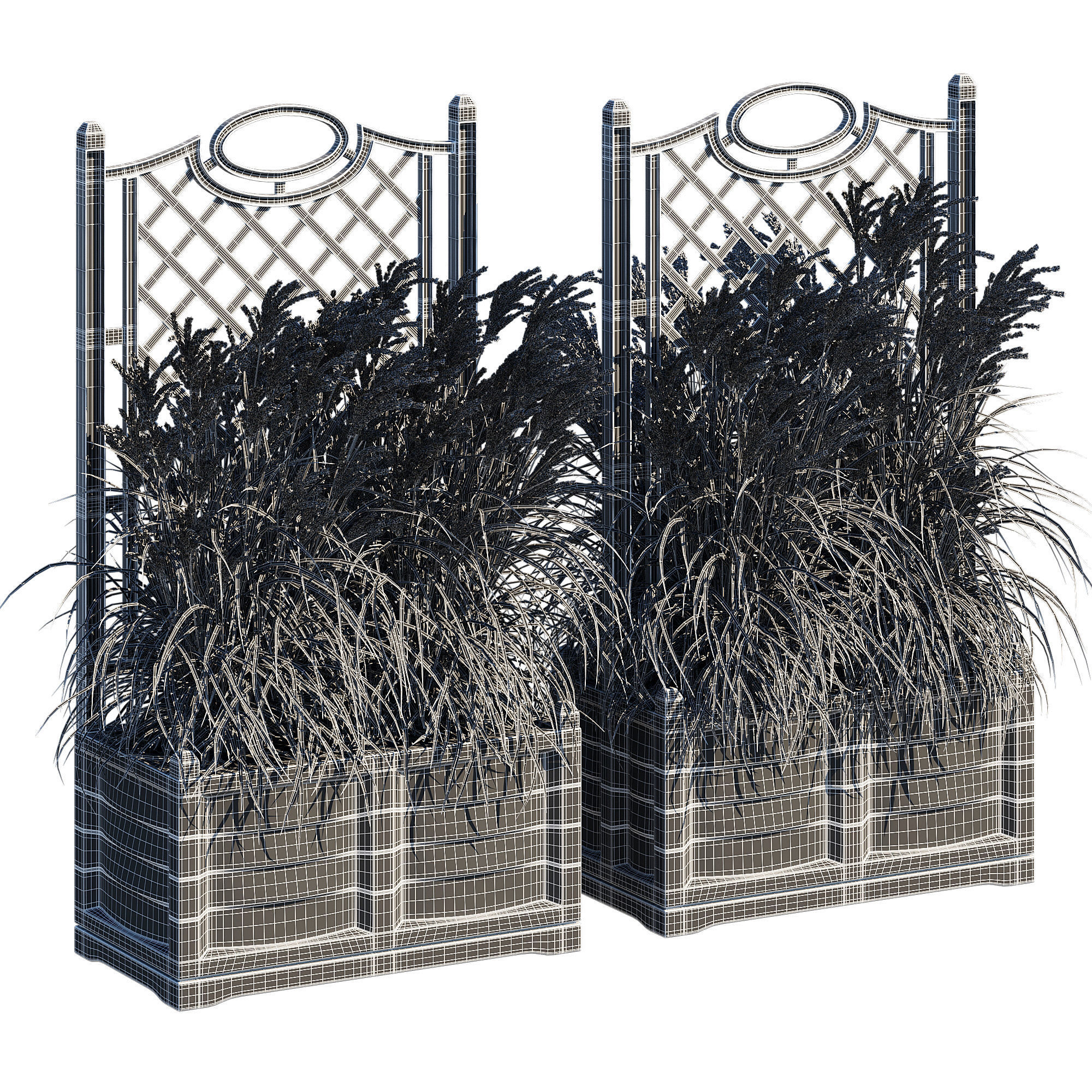 Bama with trellis 3D model_12