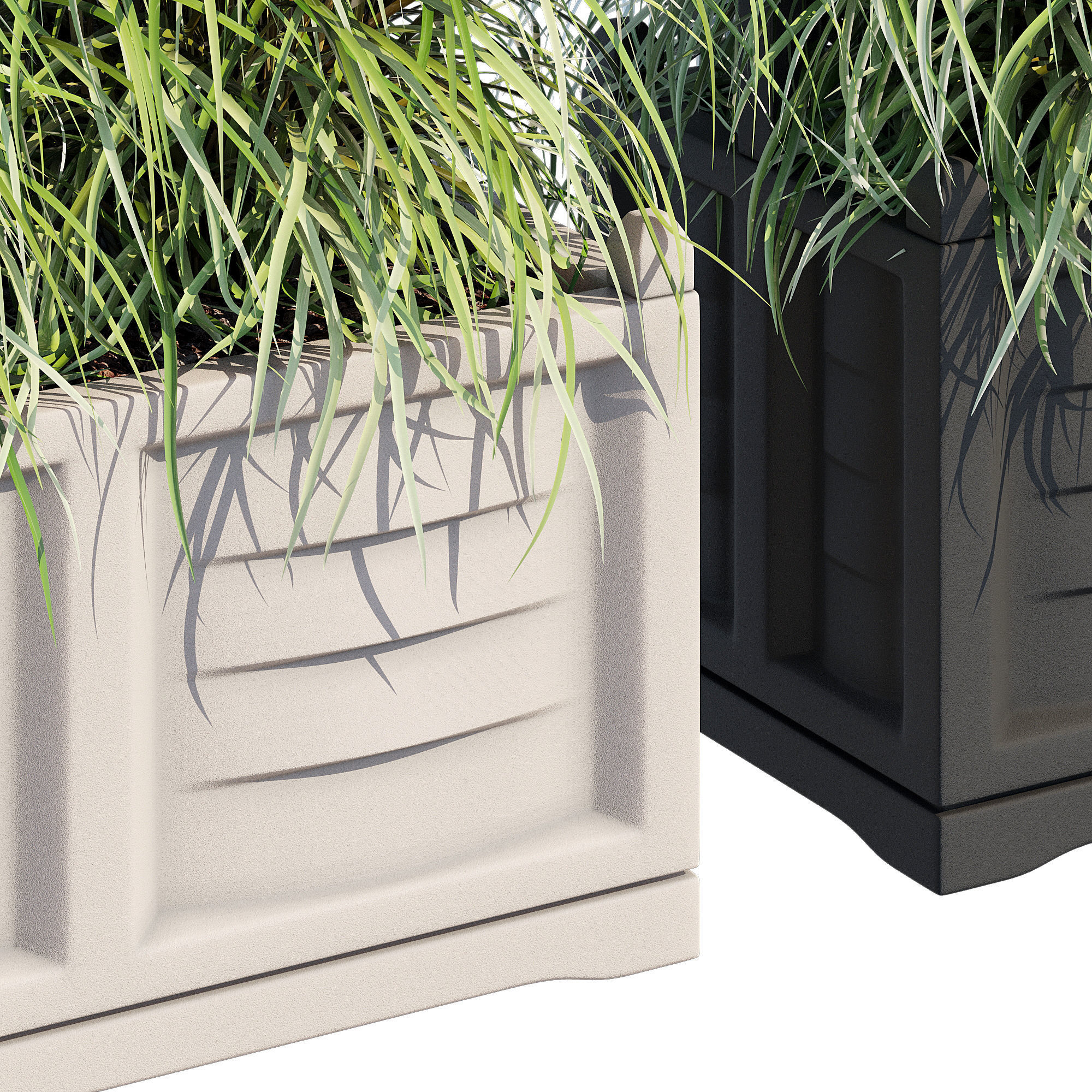 Bama with trellis 3D model_13