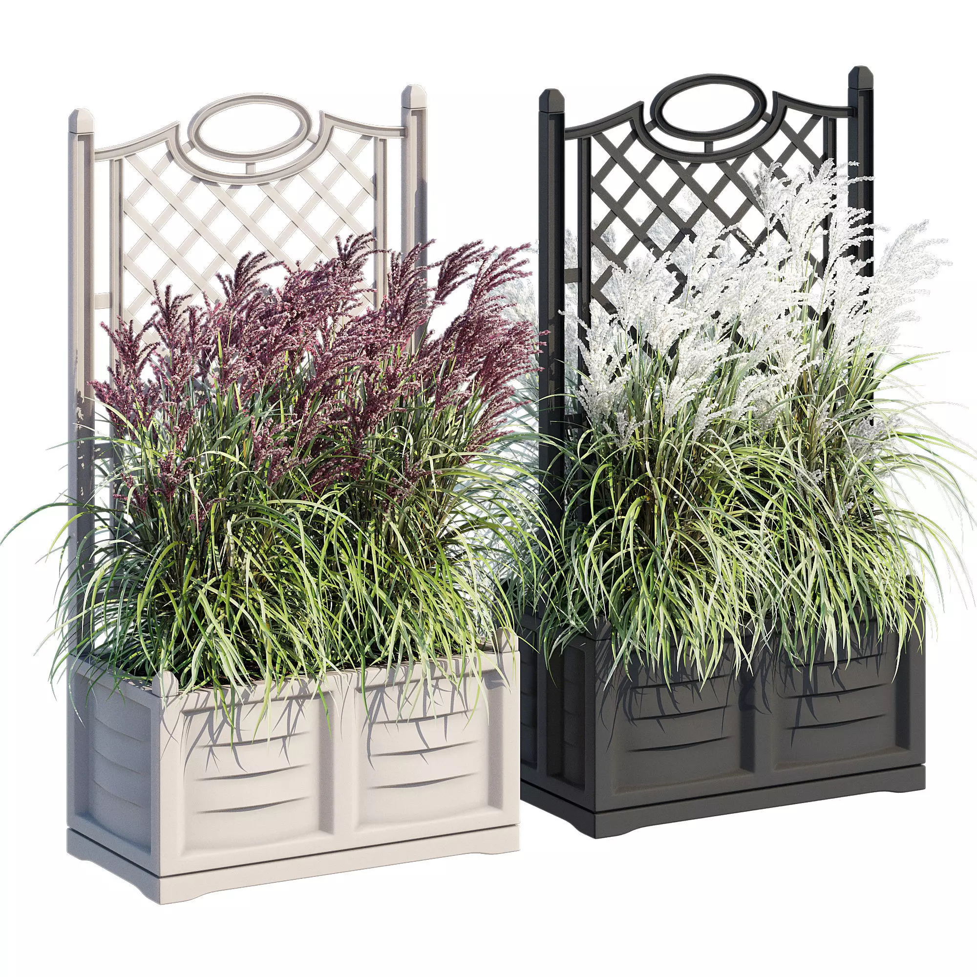 Bama with trellis 3D model_0