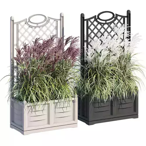 Bama with trellis 3D model