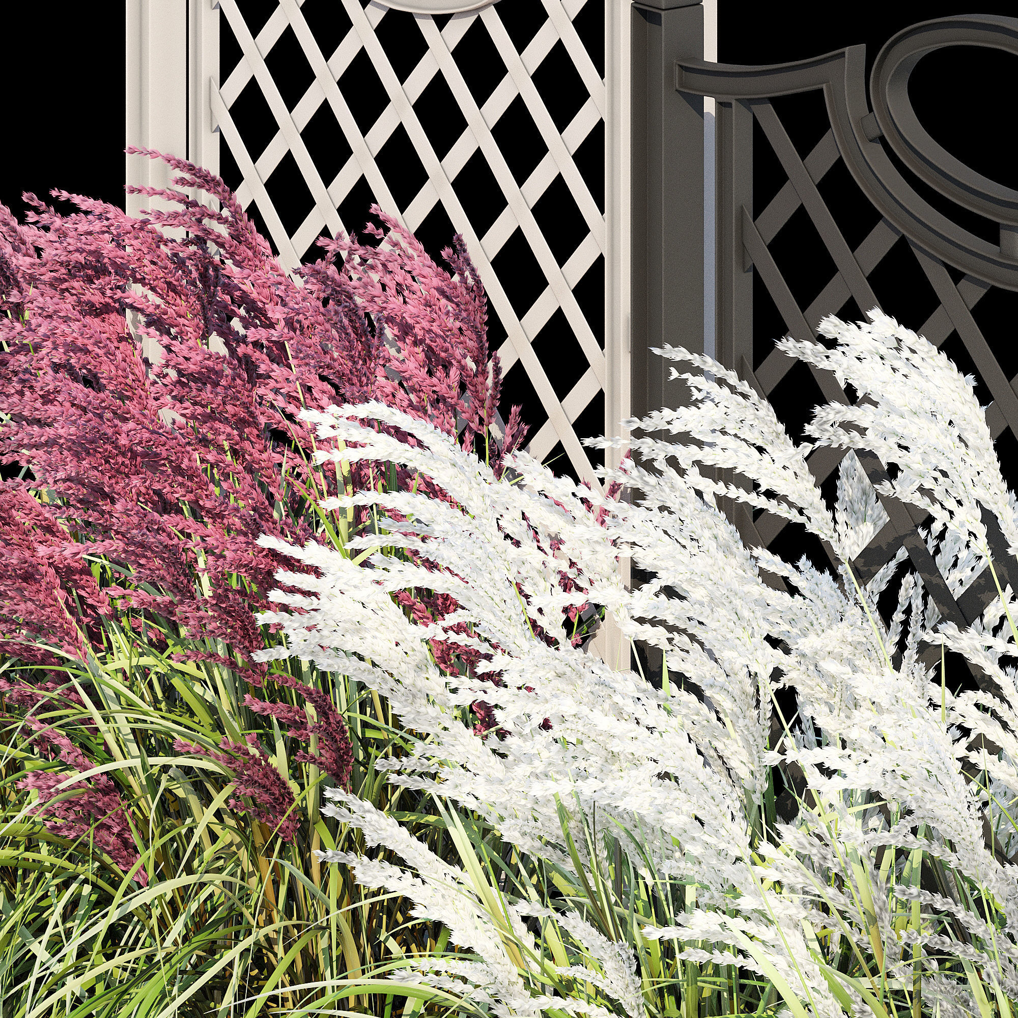 Bama with trellis 3D model_10