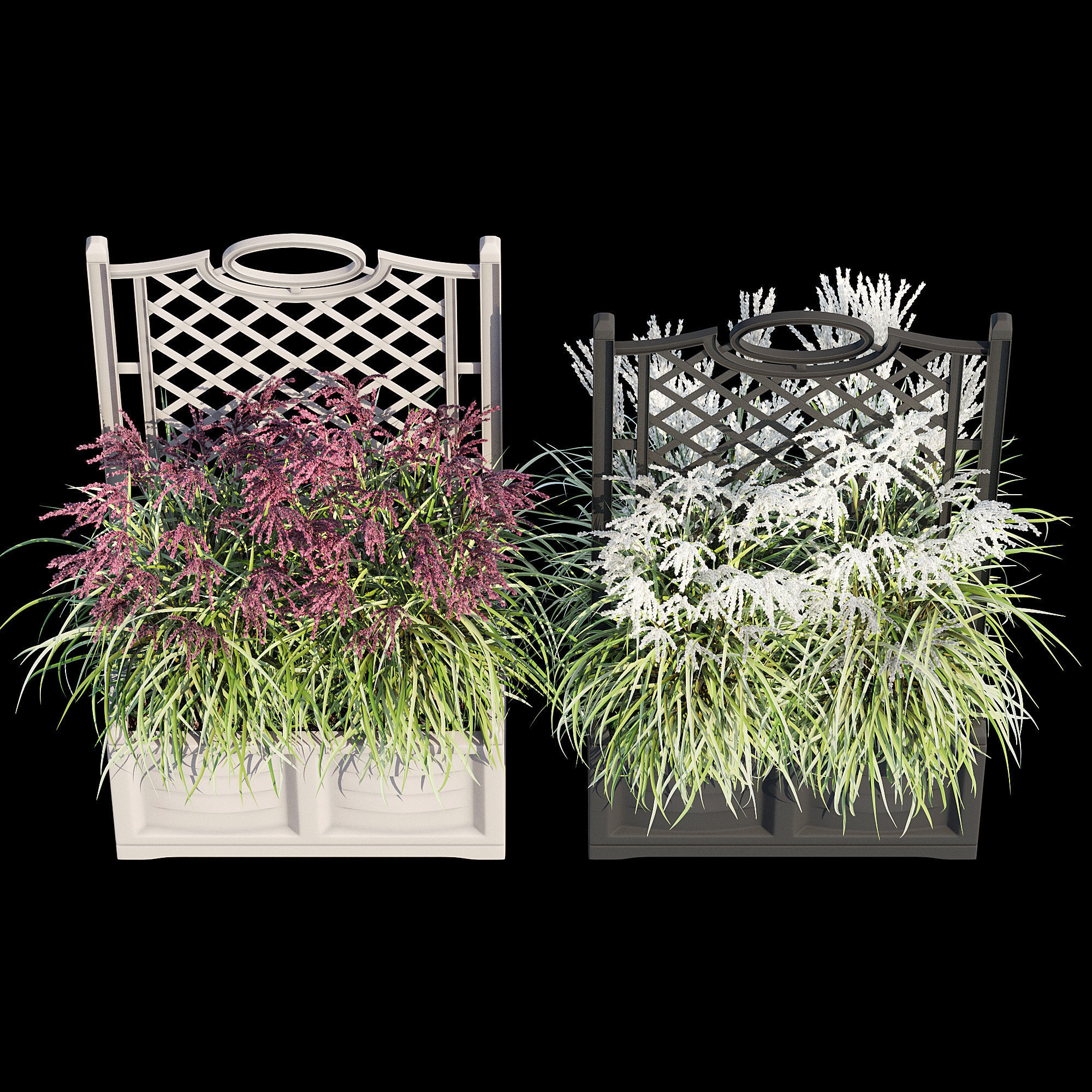 Bama with trellis 3D model_4