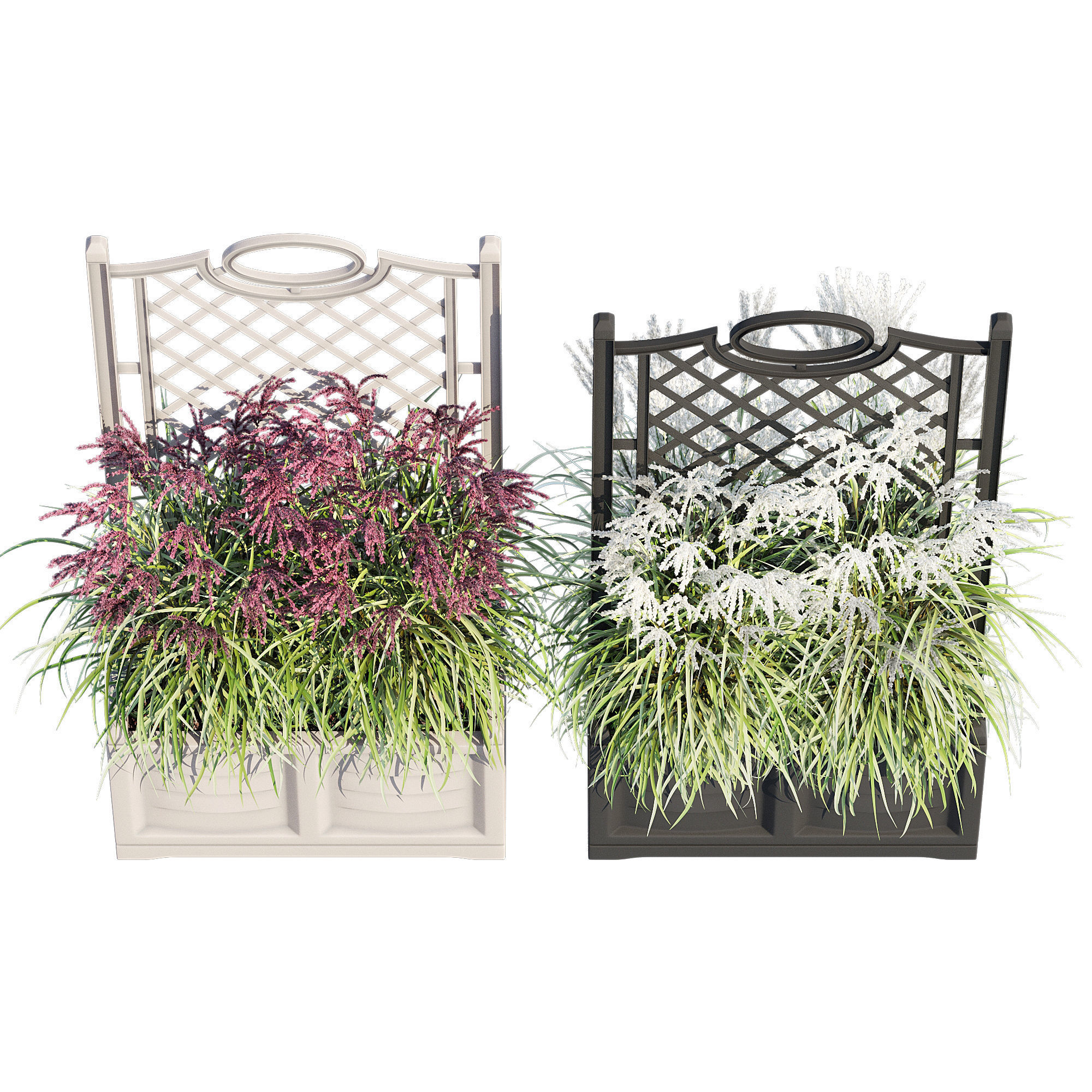 Bama with trellis 3D model_1