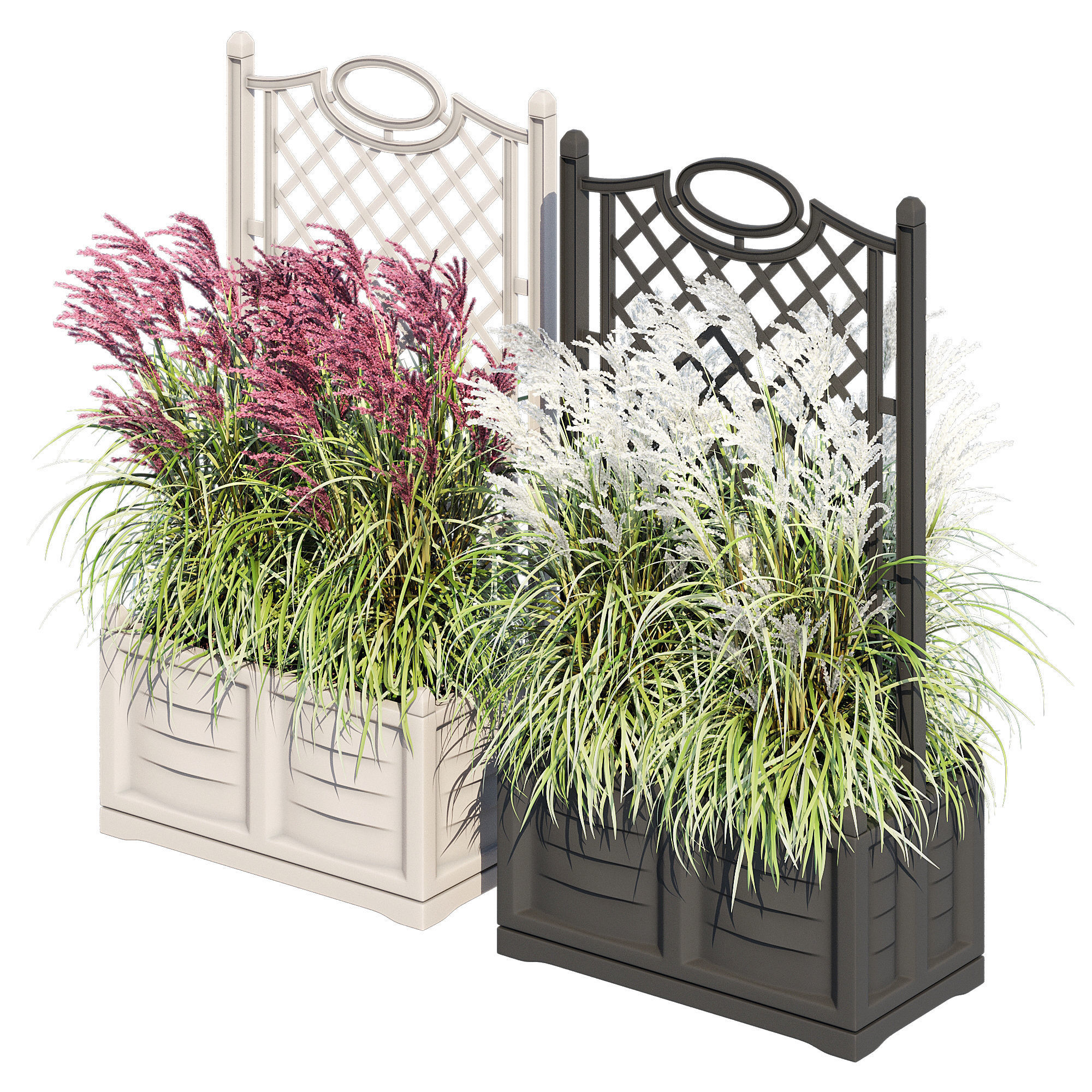 Bama with trellis 3D model_2