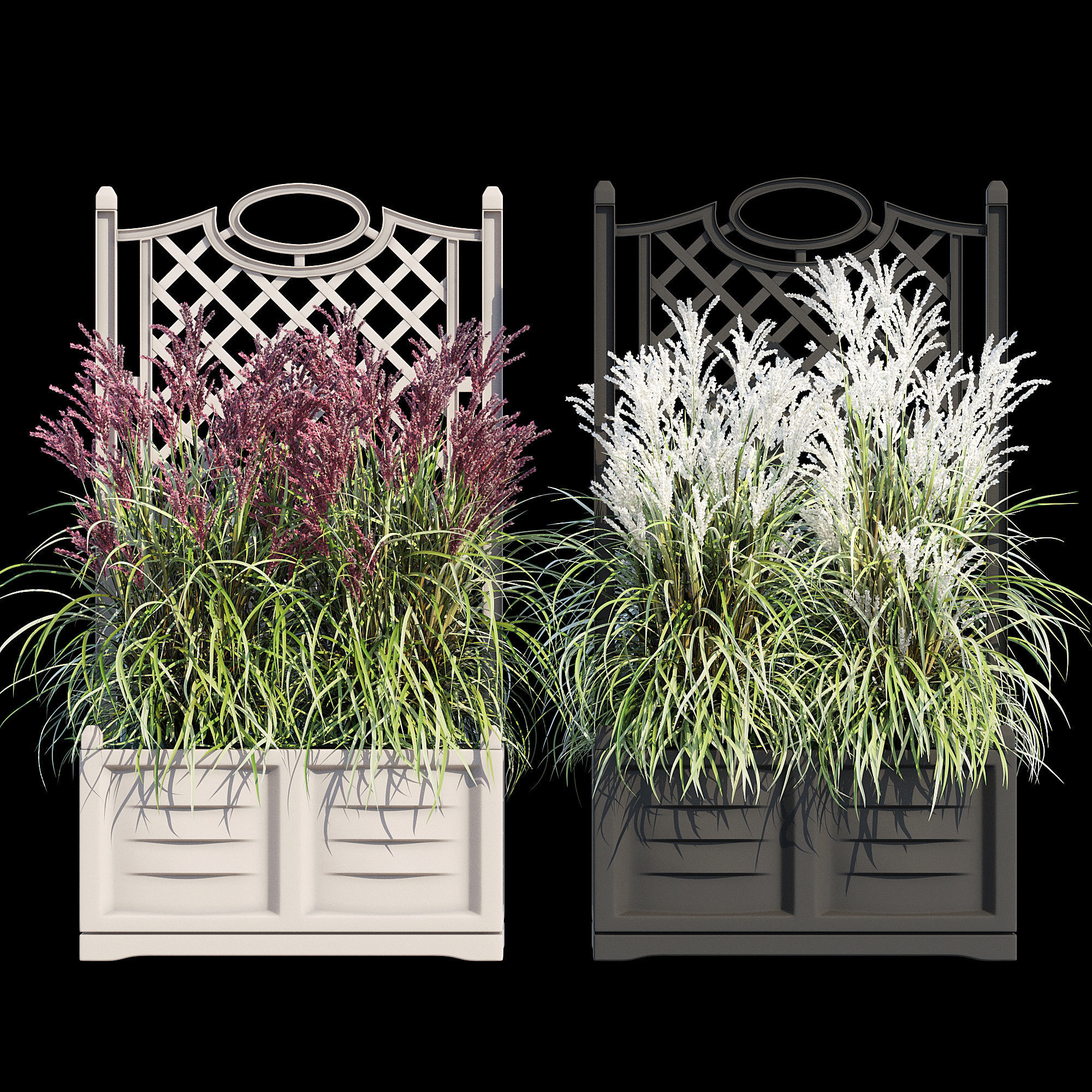 Bama with trellis 3D model_3