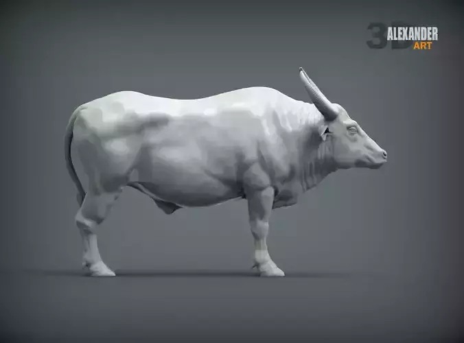 Asian buffalo 3D print model