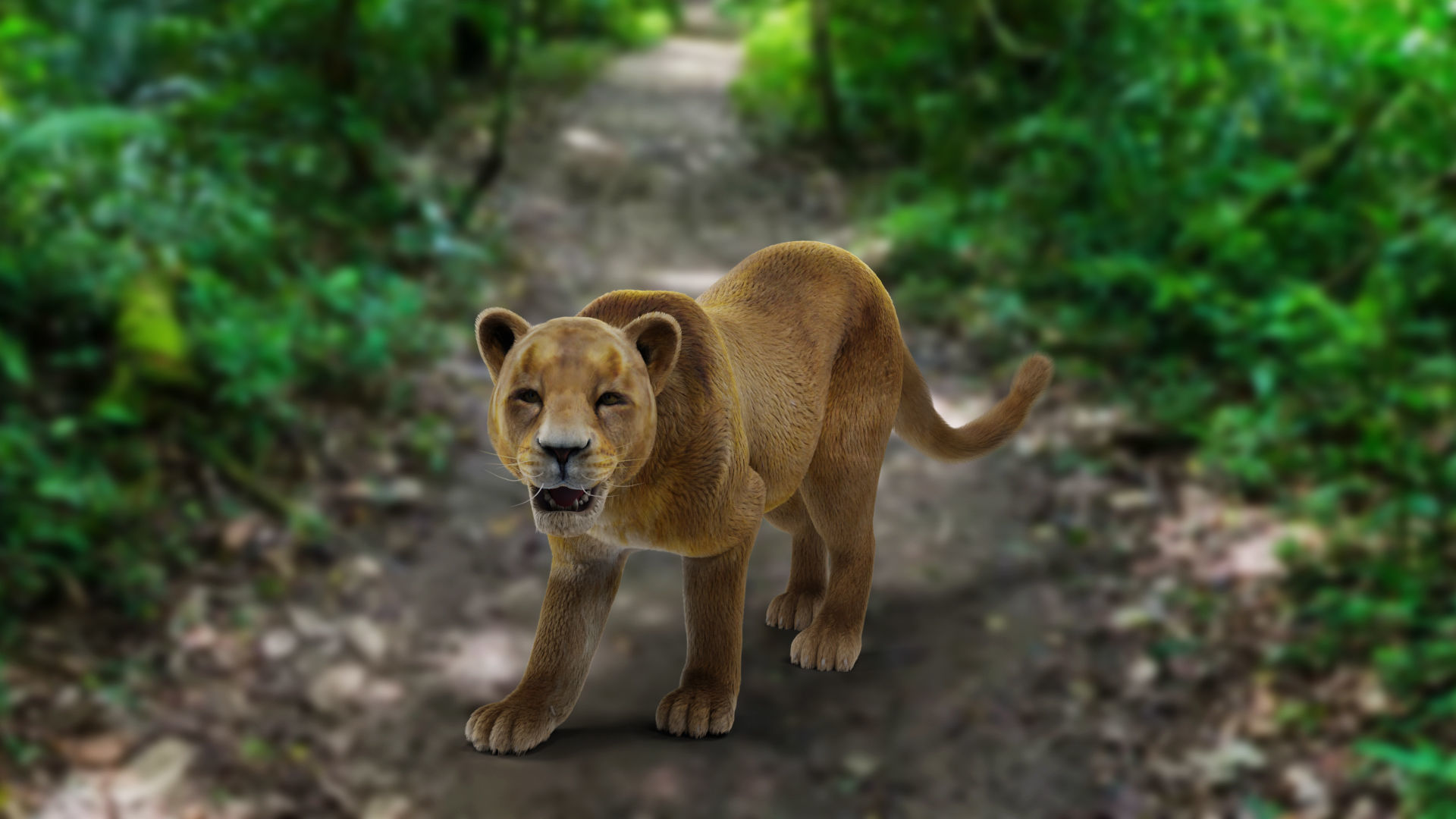 Fur Lioness V02 Rigged and Animation in Blender Low-poly 3D model_9