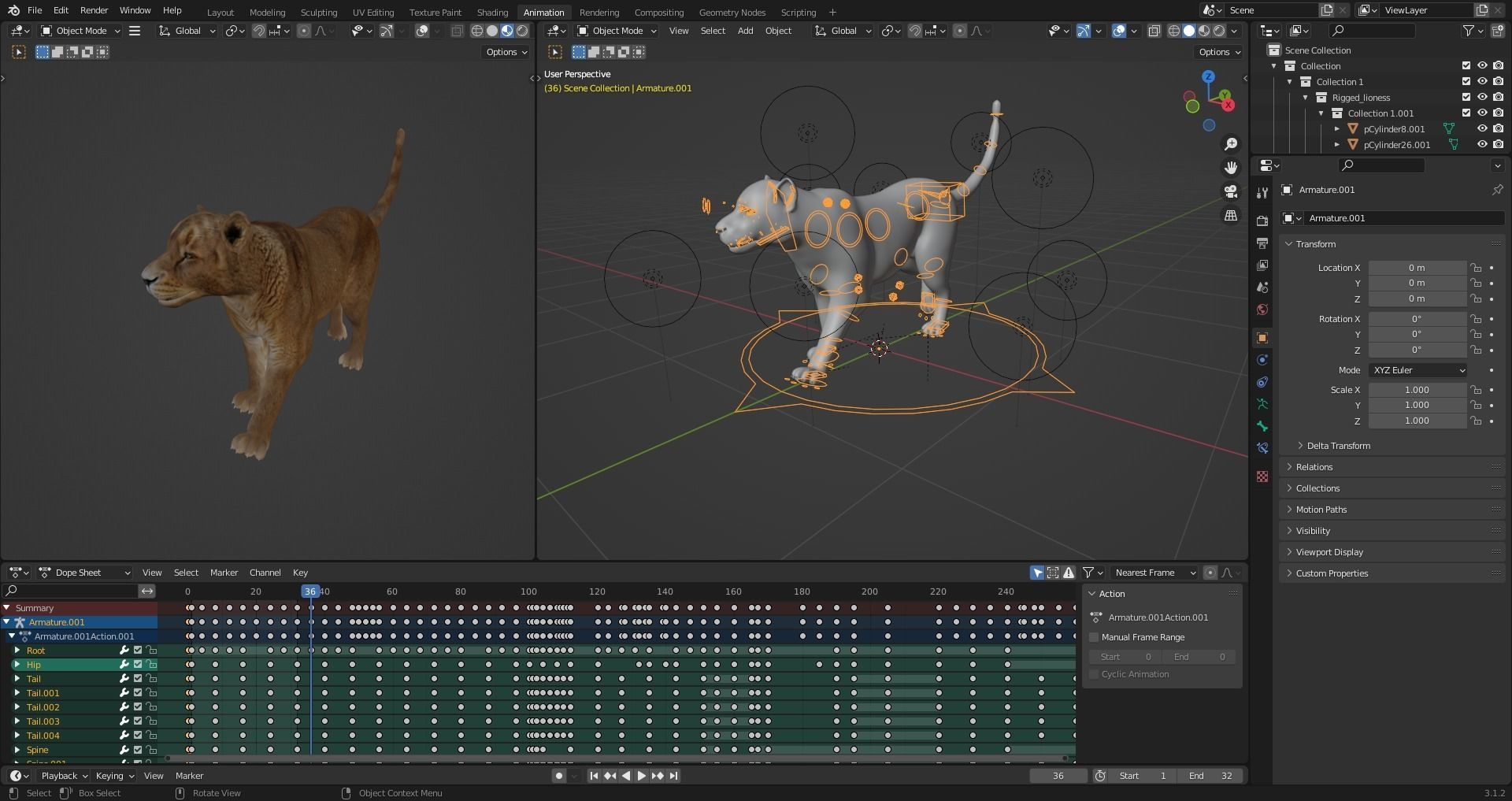 Fur Lioness V02 Rigged and Animation in Blender Low-poly 3D model_19