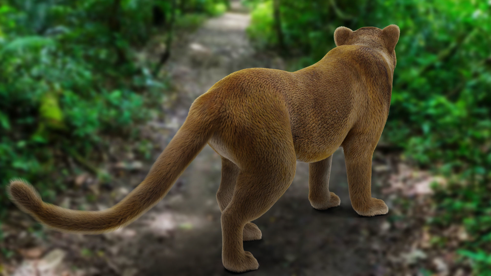 Fur Lioness V02 Rigged and Animation in Blender Low-poly 3D model_10