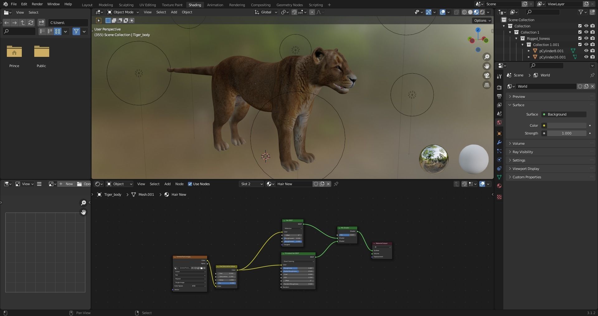 Fur Lioness V02 Rigged and Animation in Blender Low-poly 3D model_28