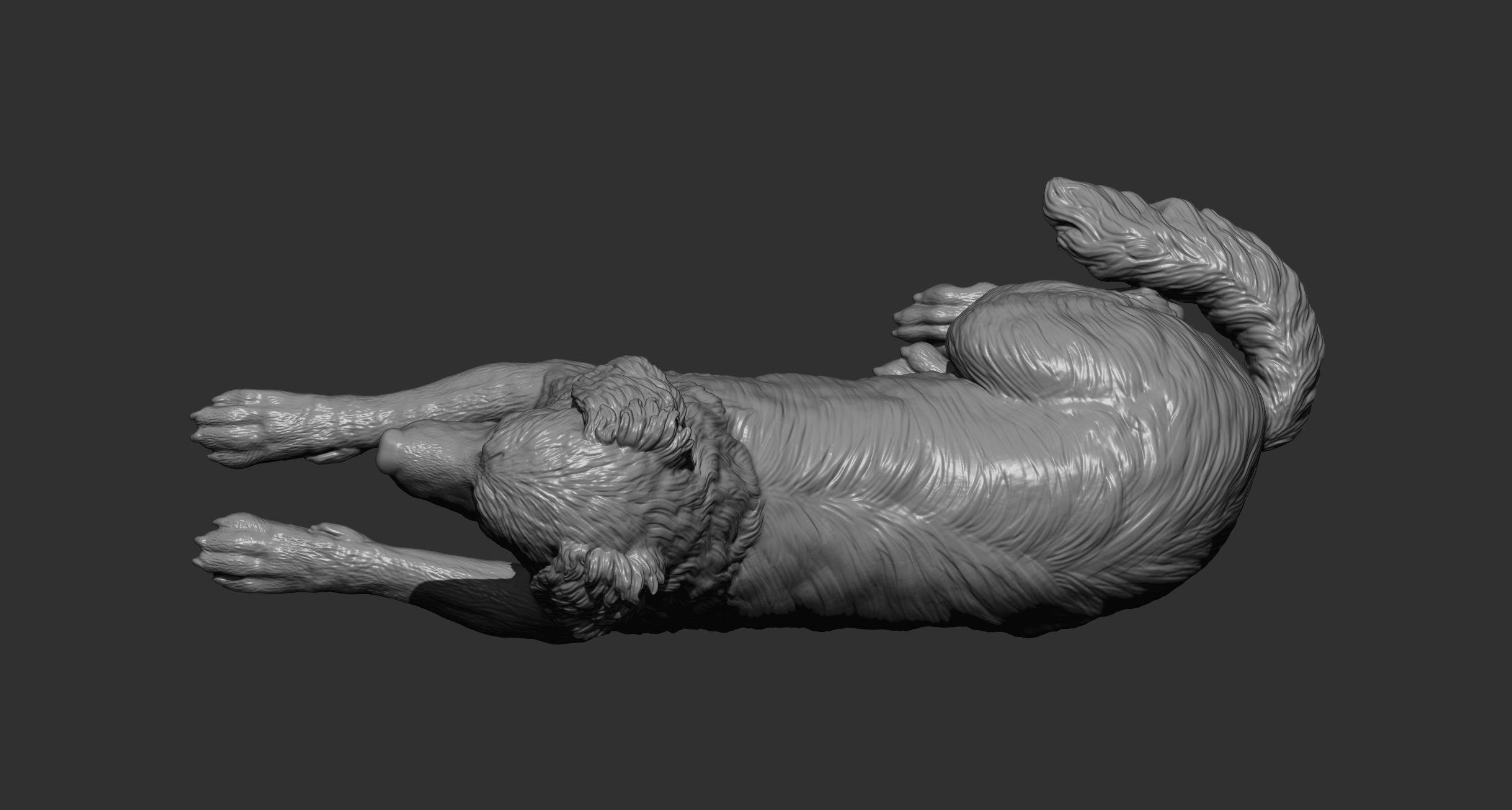 Australian shepherd 3D print model_11