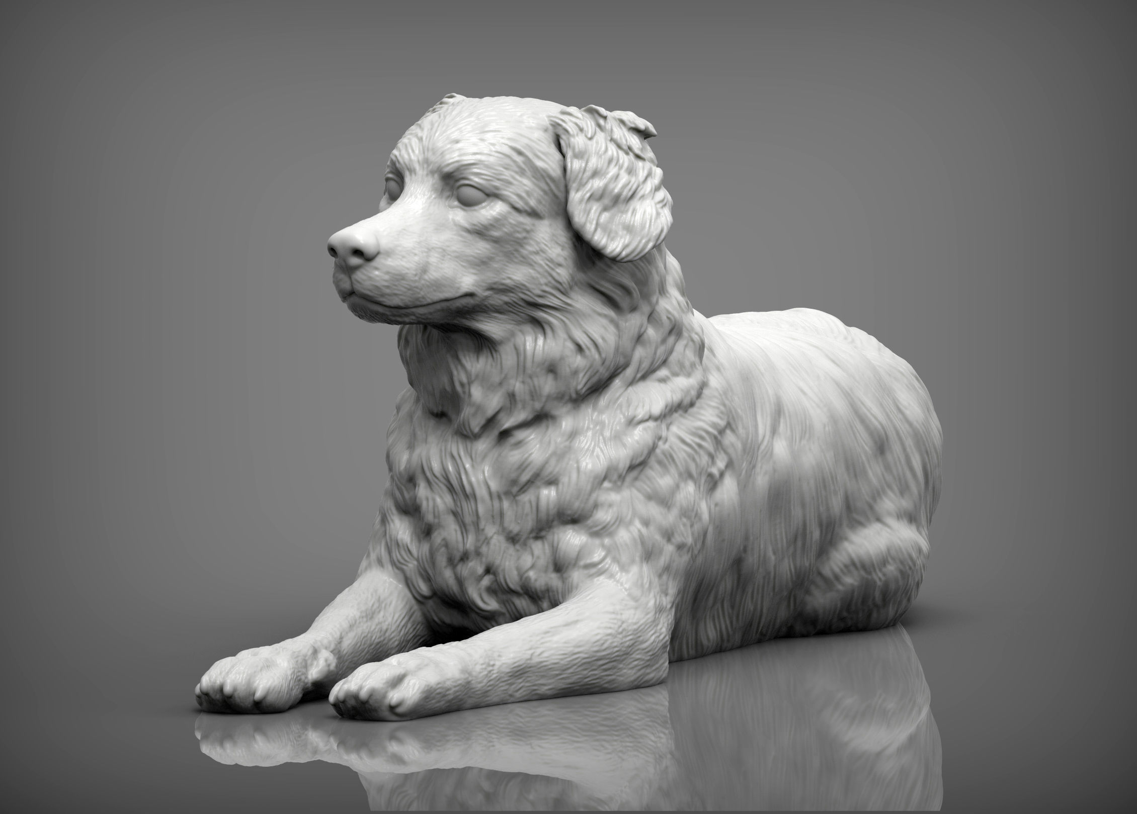 Australian shepherd 3D print model_3