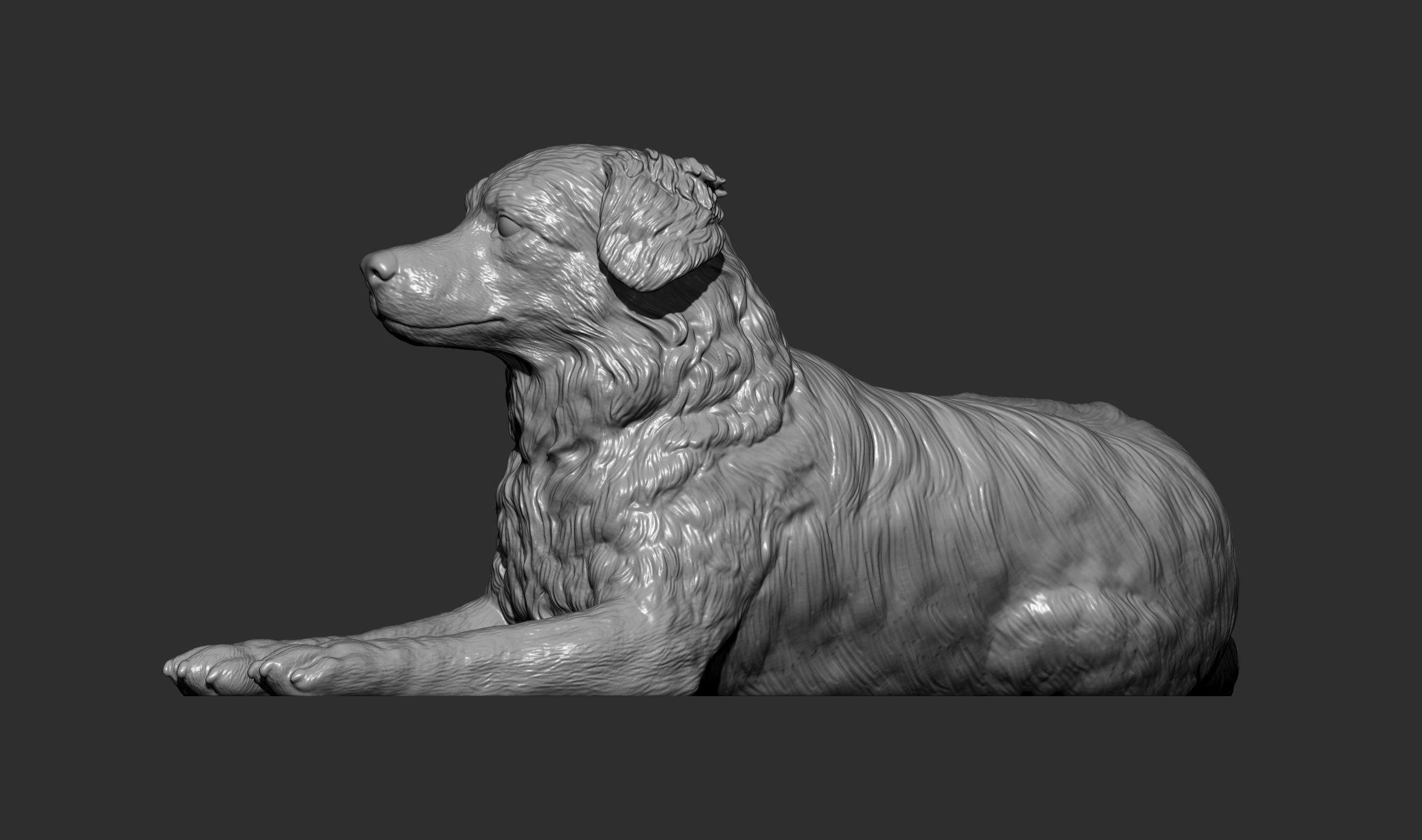 Australian shepherd 3D print model_10
