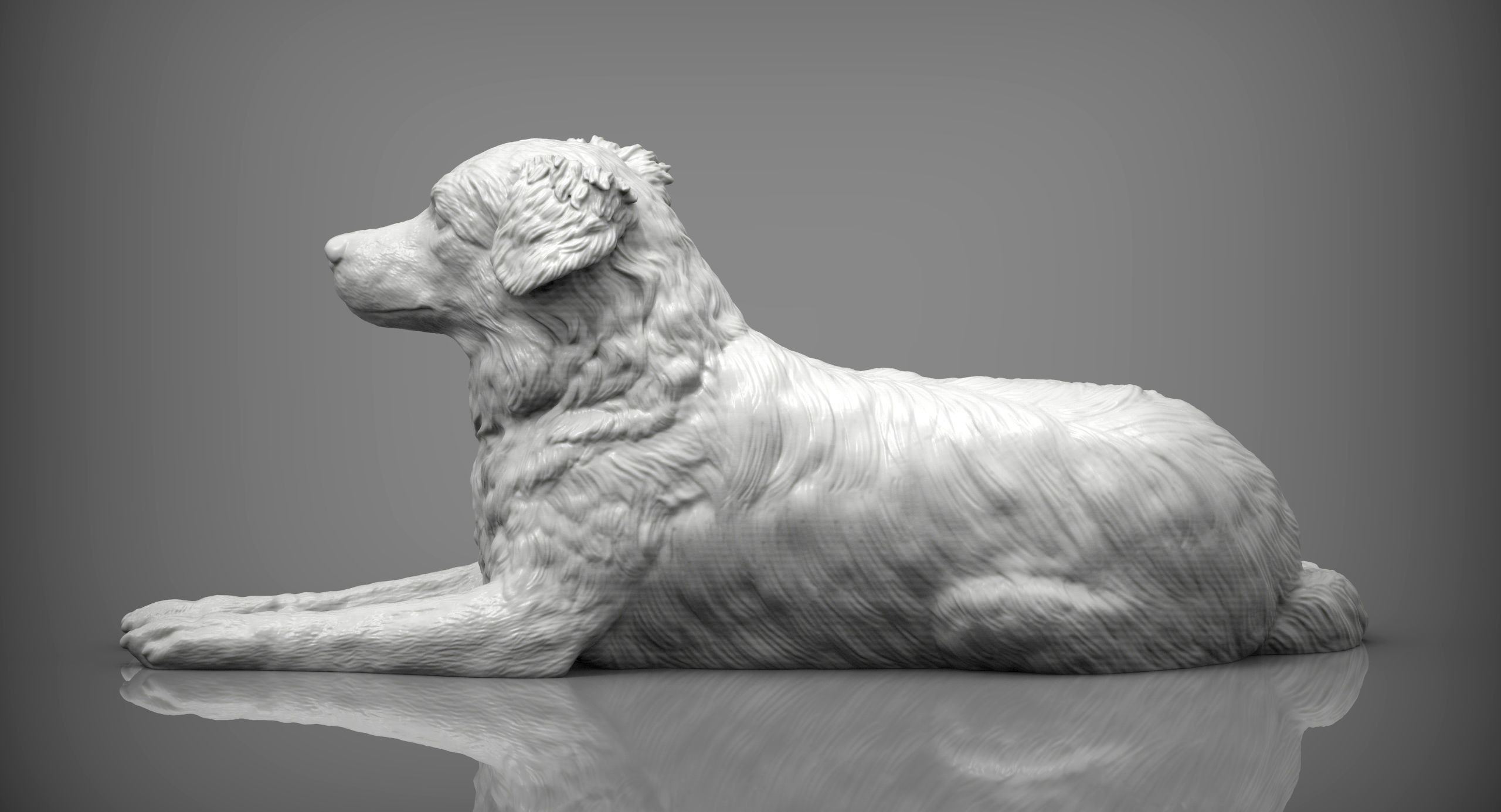 Australian shepherd 3D print model_4