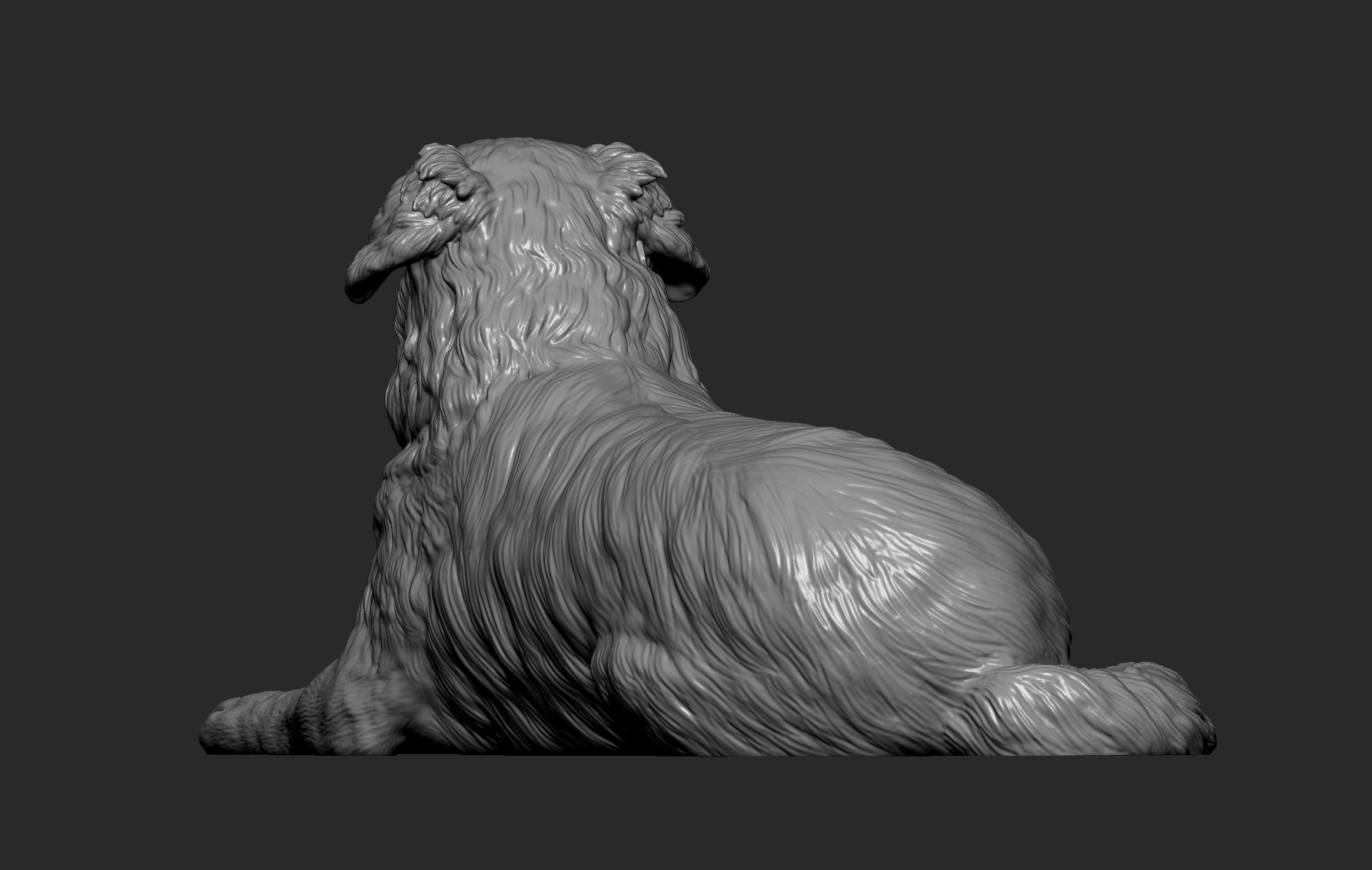 Australian shepherd 3D print model_9
