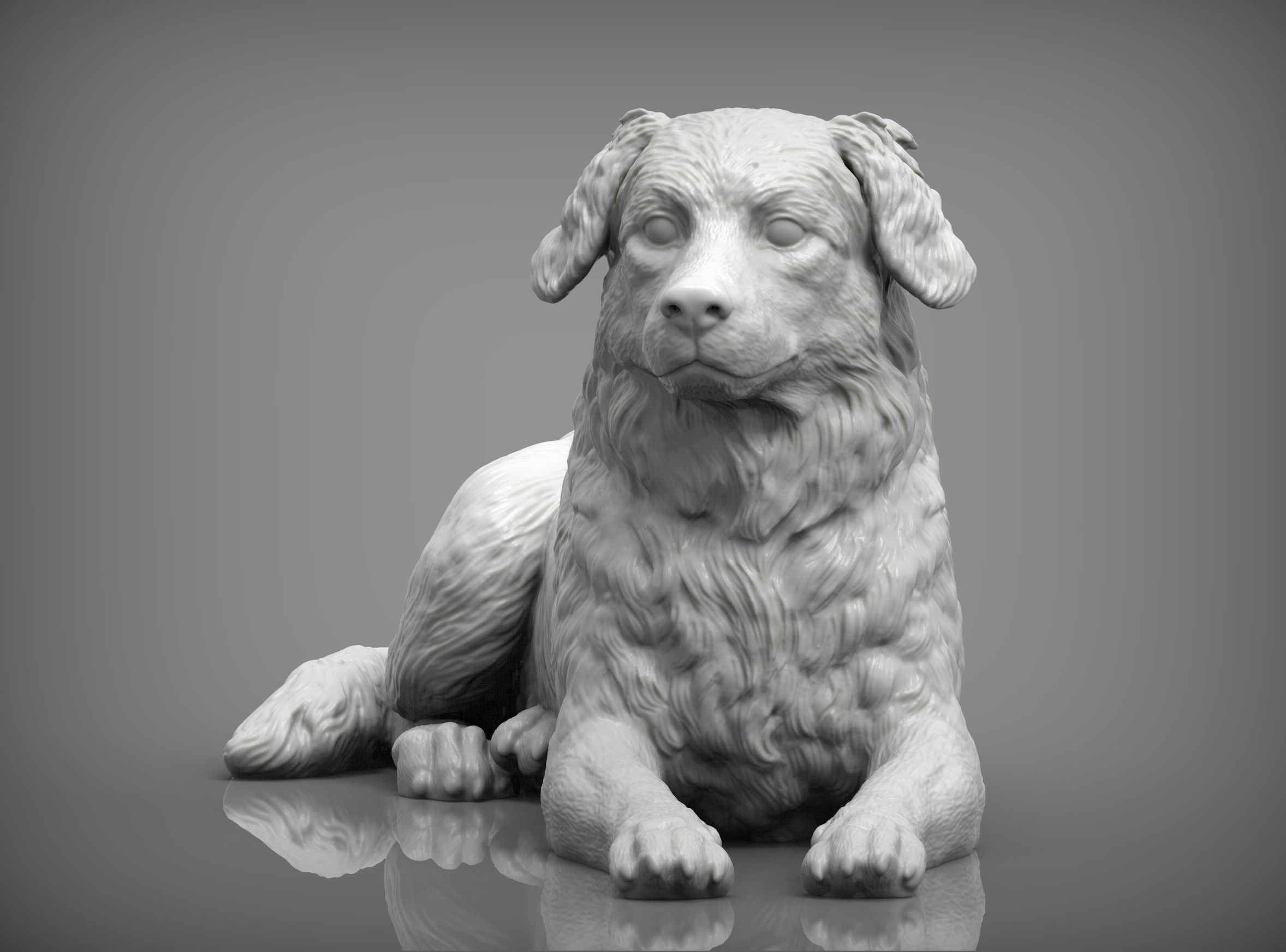 Australian shepherd 3D print model_2