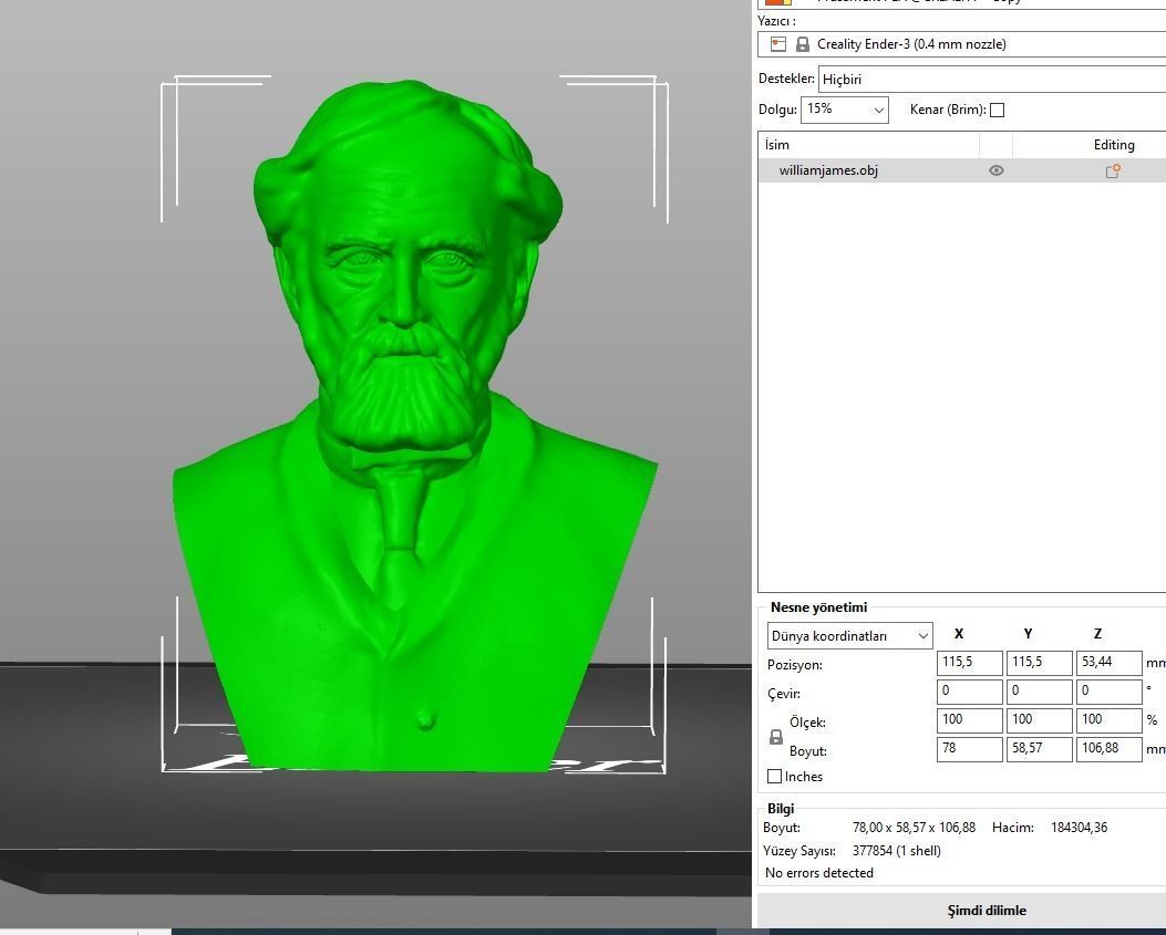 William James 3D print model_2