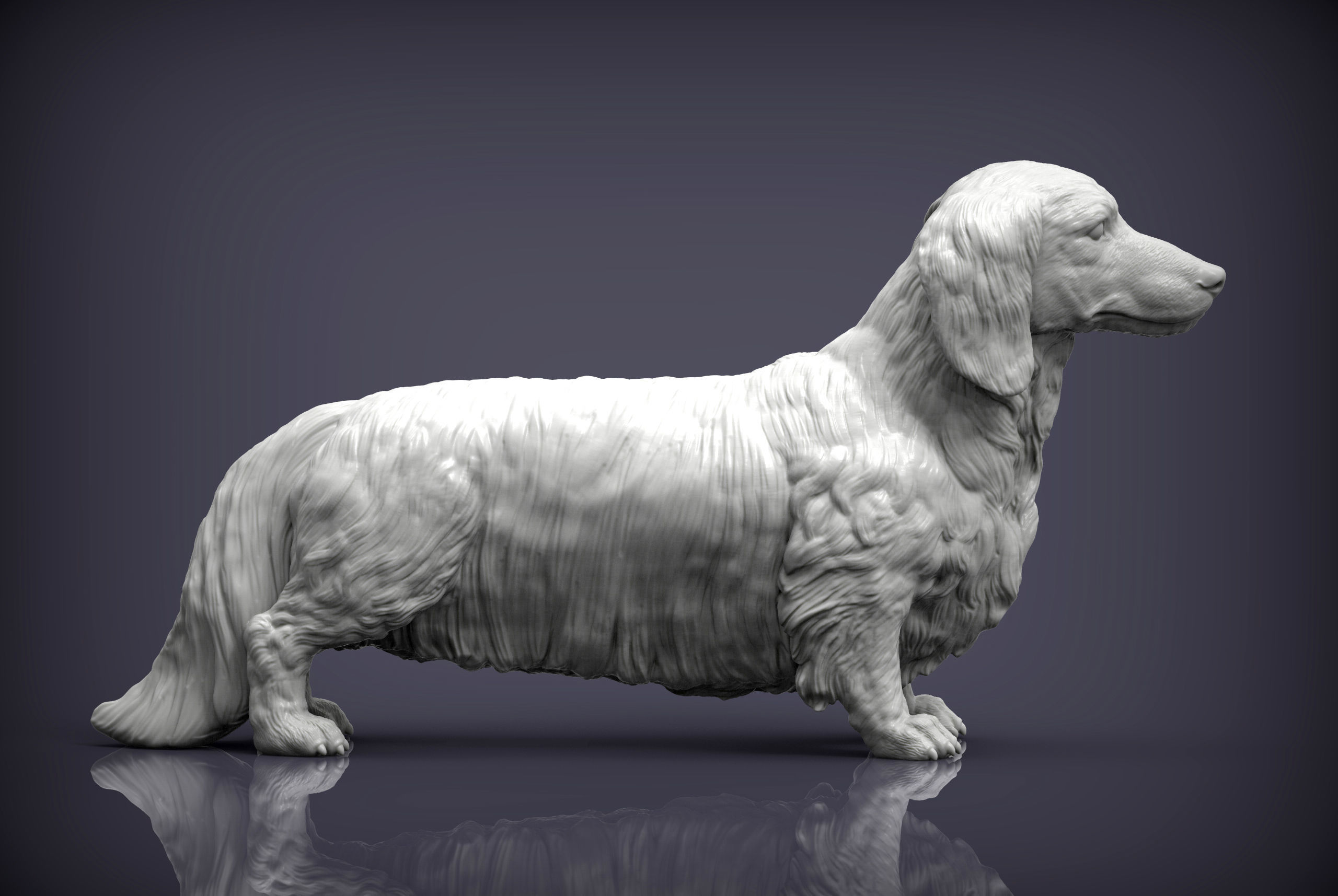 Dachshund longhair 3D print model_5