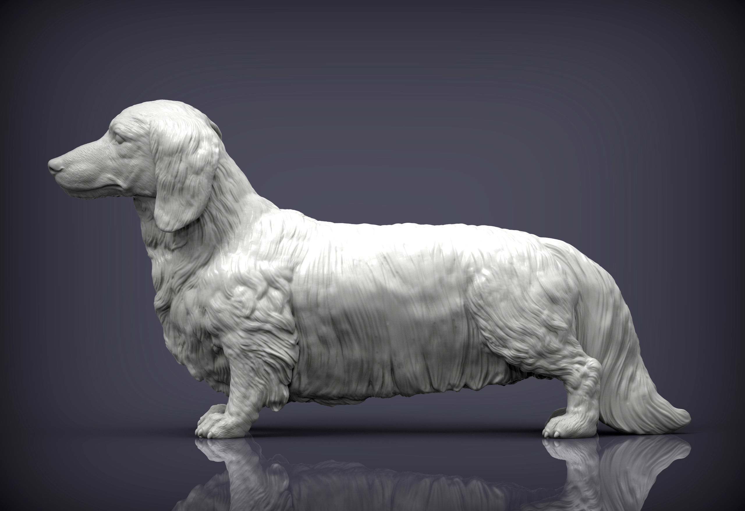 Dachshund longhair 3D print model_2