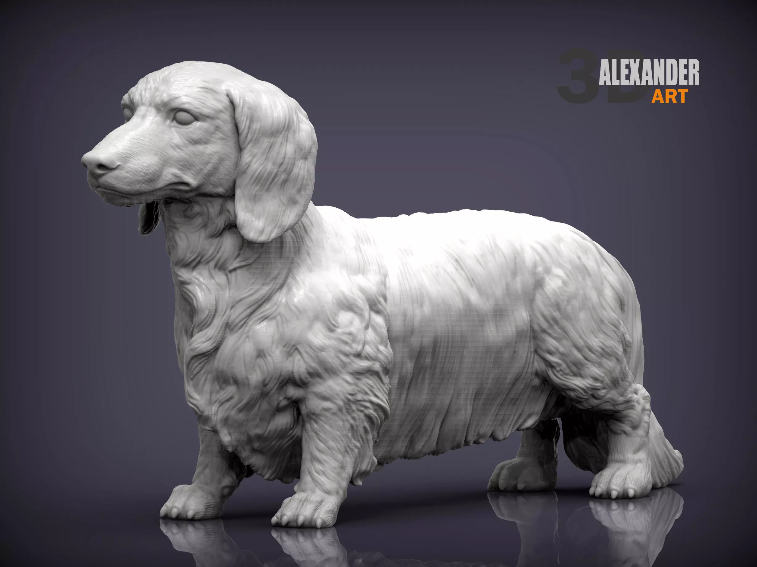 Dachshund longhair 3D print model_0