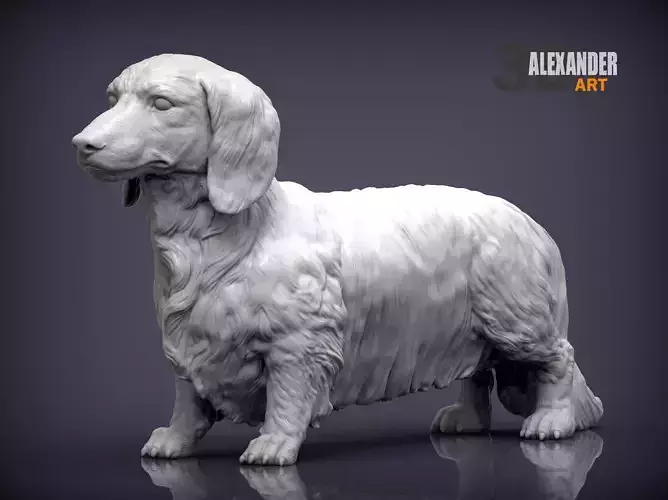 Dachshund longhair 3D print model