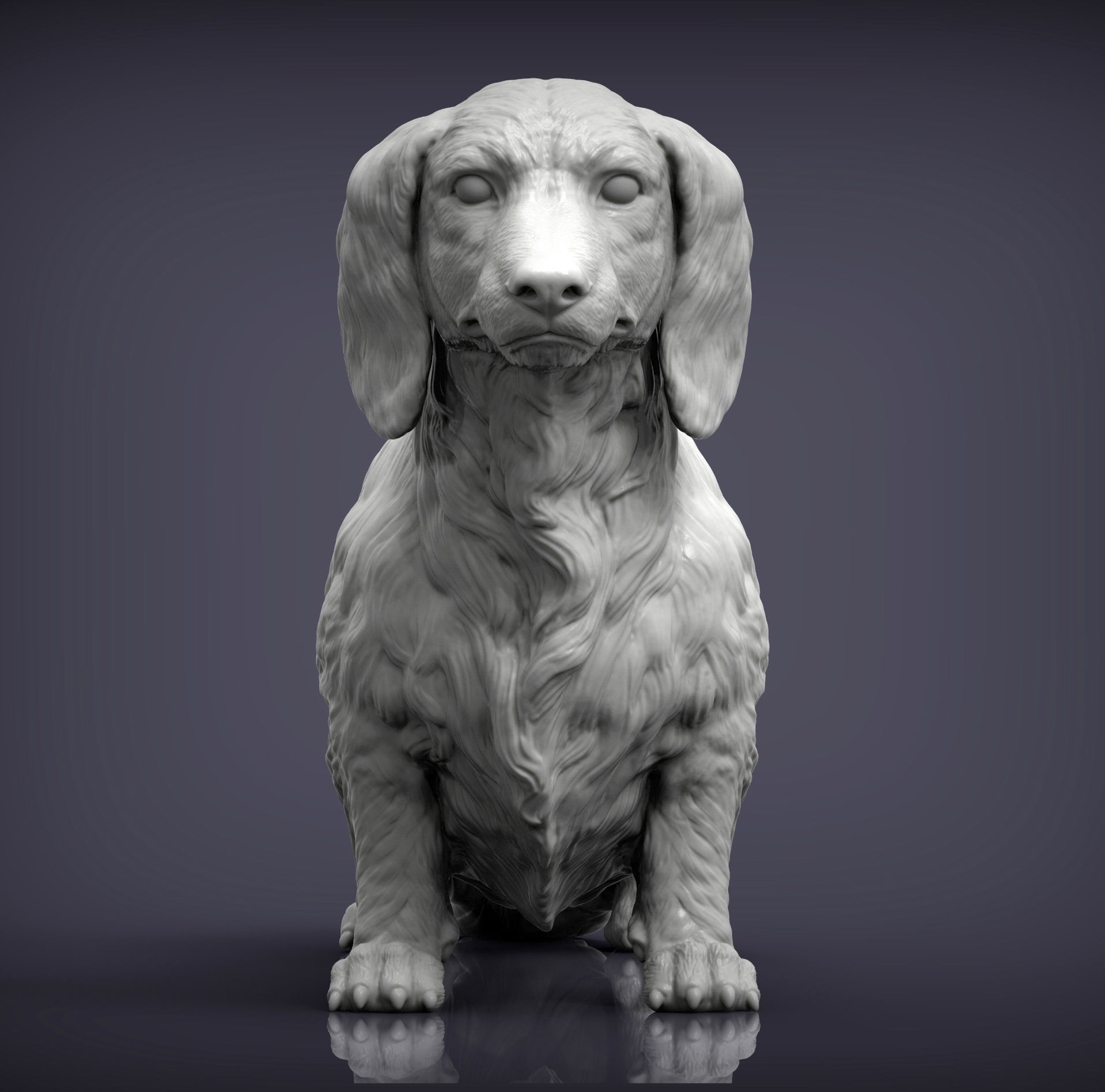 Dachshund longhair 3D print model_7
