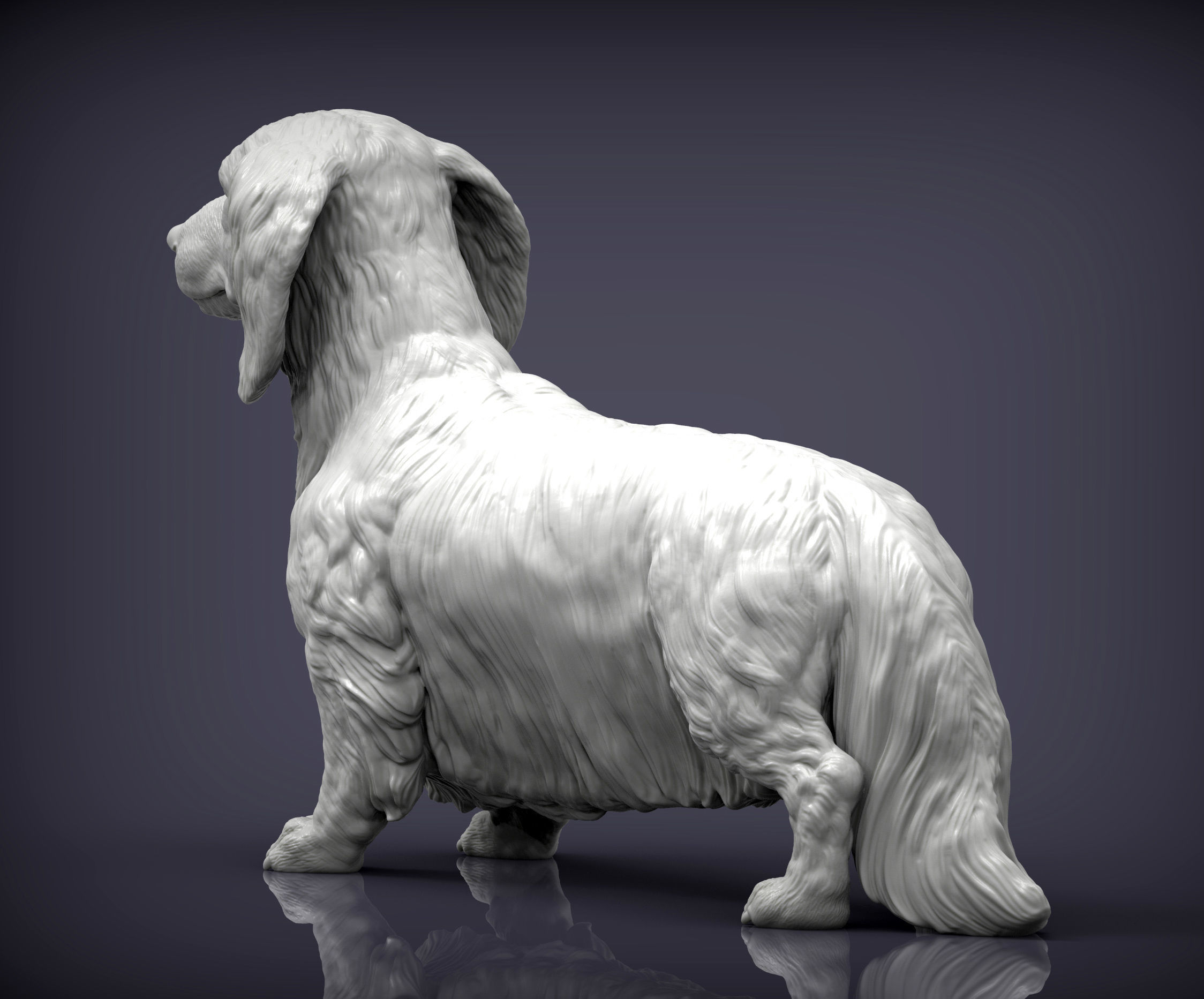 Dachshund longhair 3D print model_3