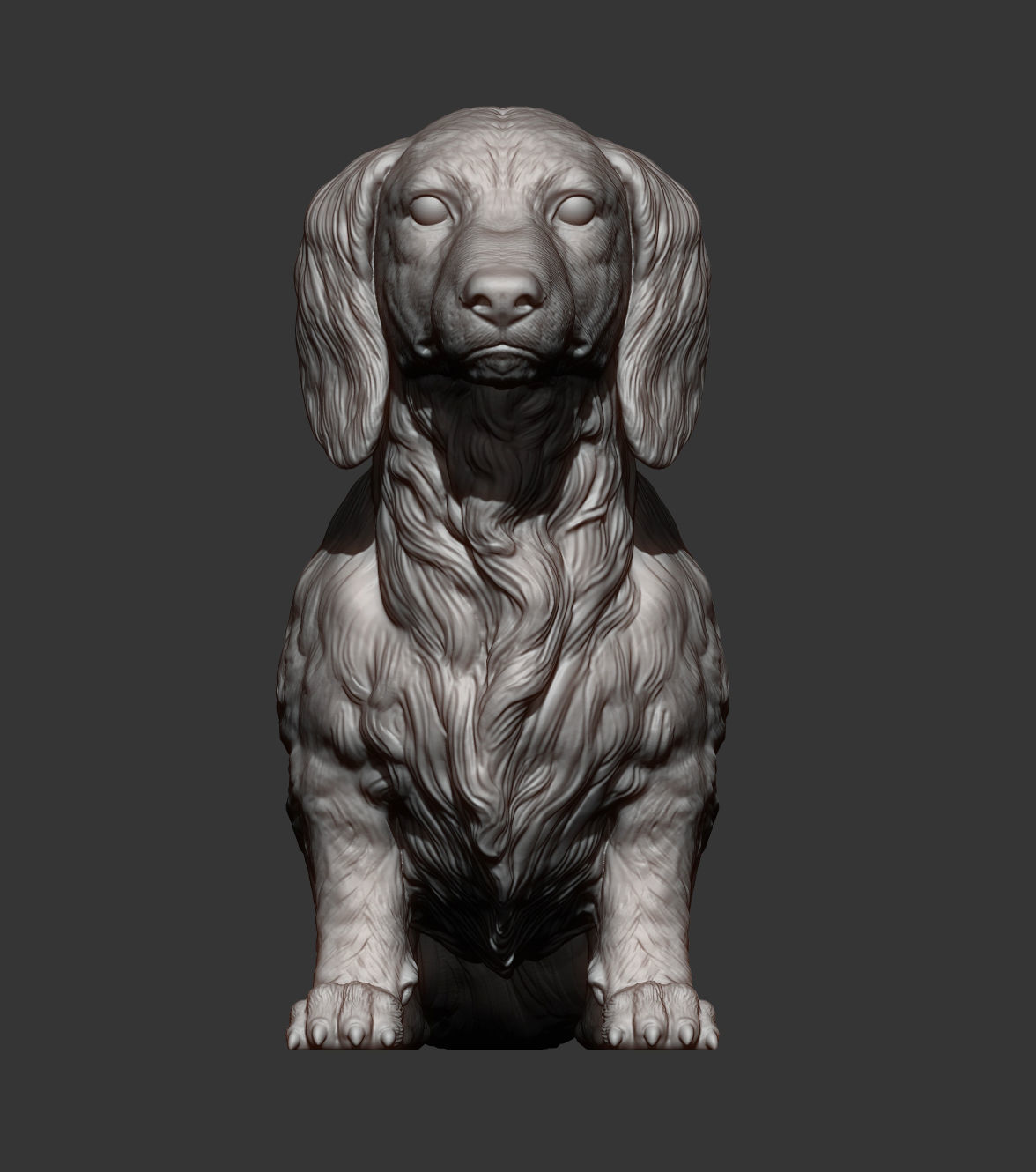 Dachshund longhair 3D print model_11