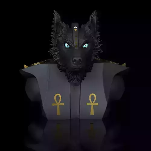 Dog  Australien Border Anubis angry 