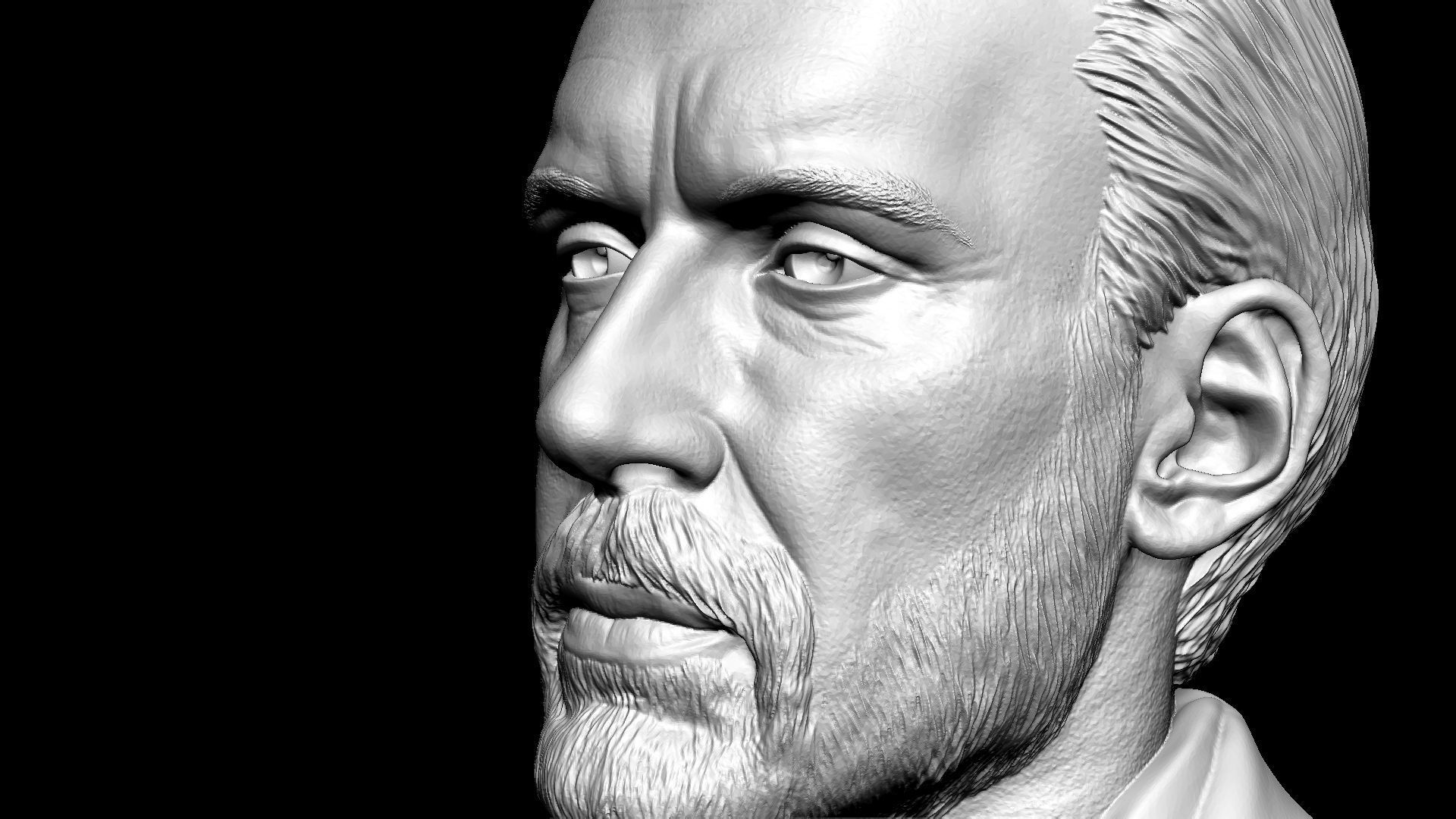 Jordan Peterson 3D print model_34