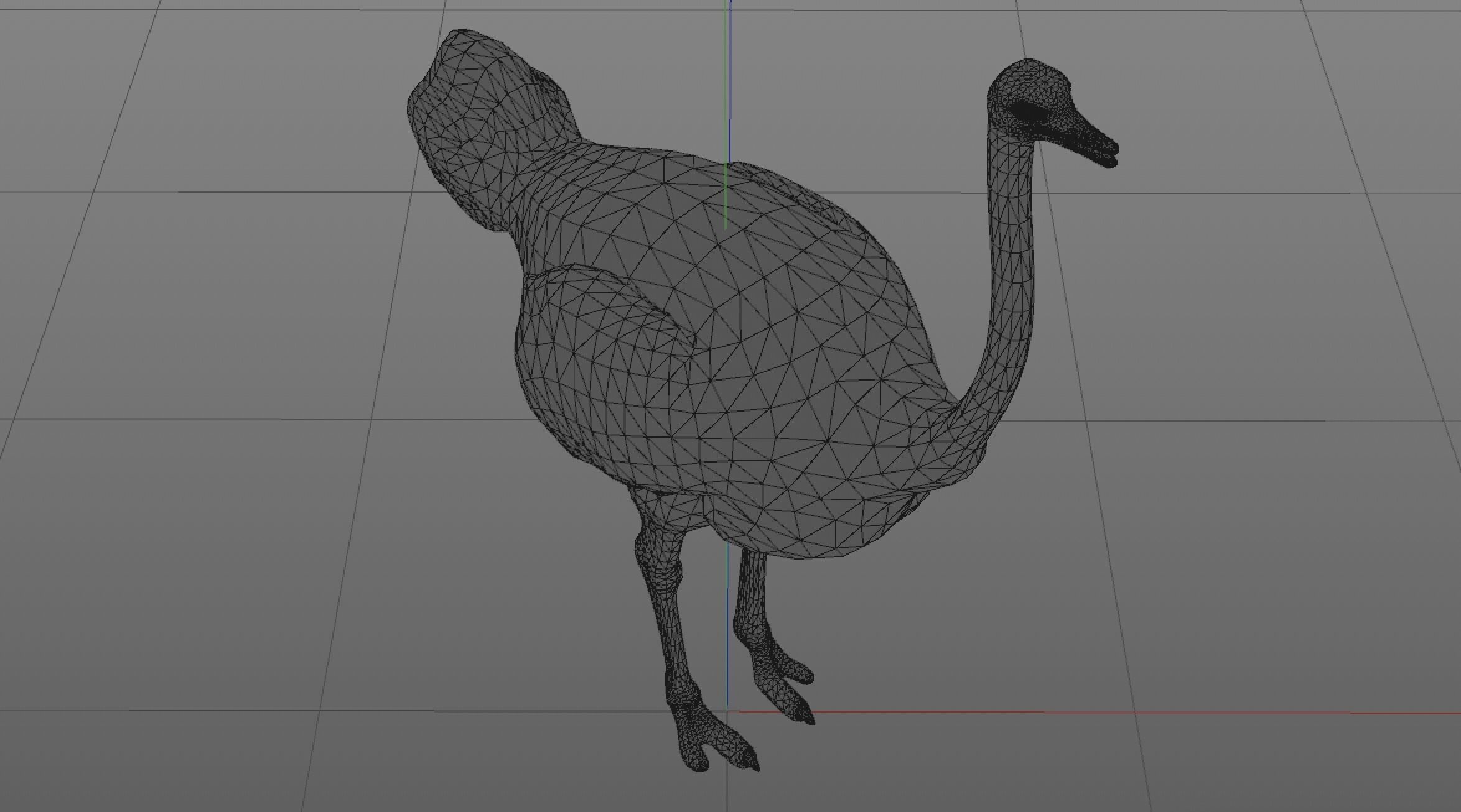 Ostrich 3D model_7