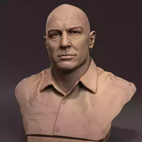 Joe Rogan 3D print model