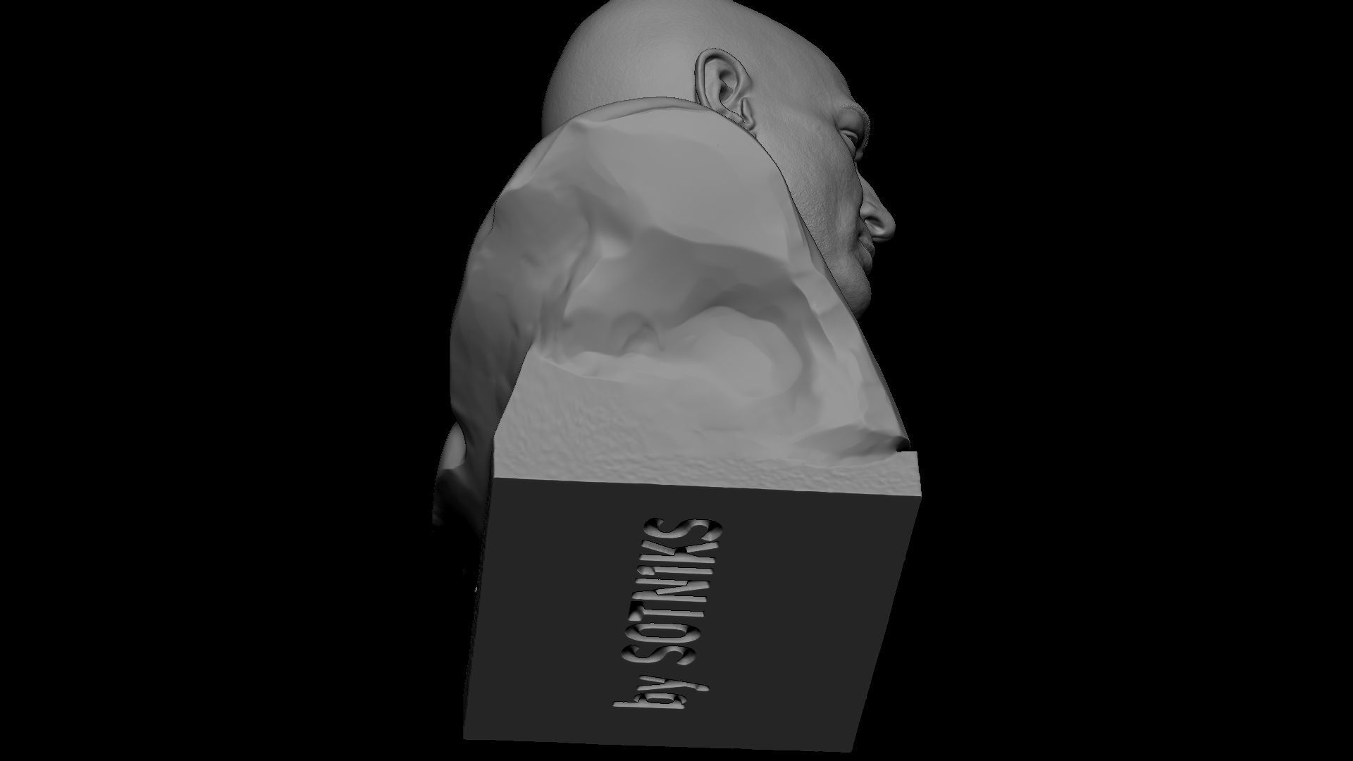 Joe Rogan 3D print model_19