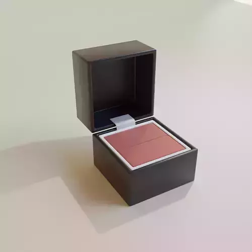 RING CASE 00 3D print model