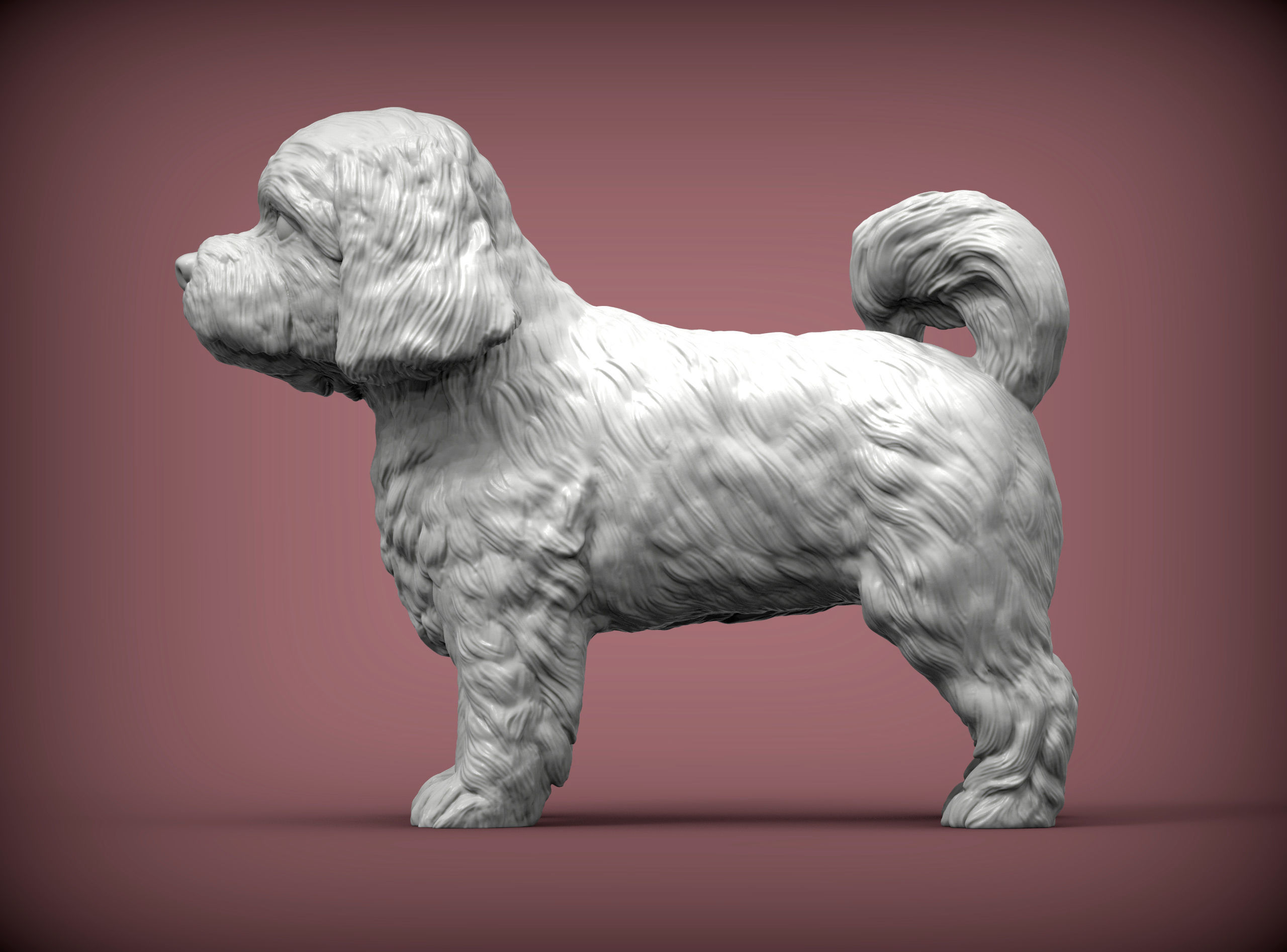 Maltese dog statue 3D print model_3
