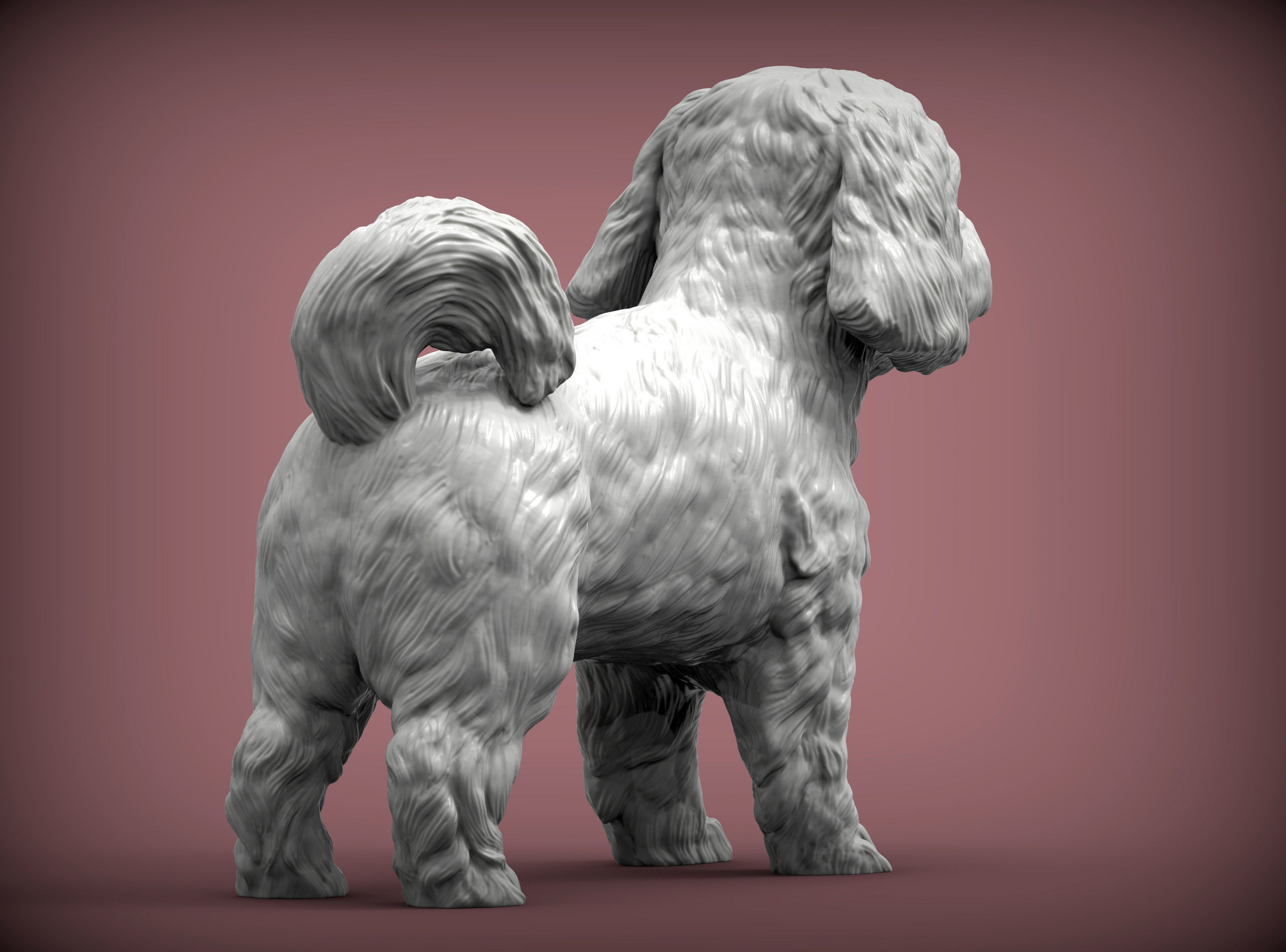 Maltese dog statue 3D print model_7