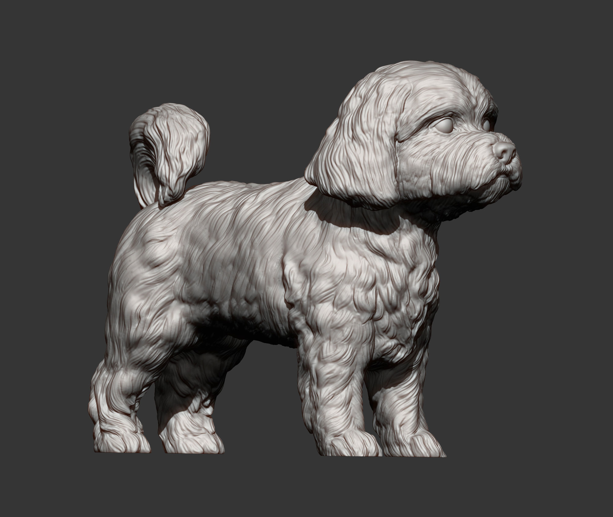 Maltese dog statue 3D print model_11