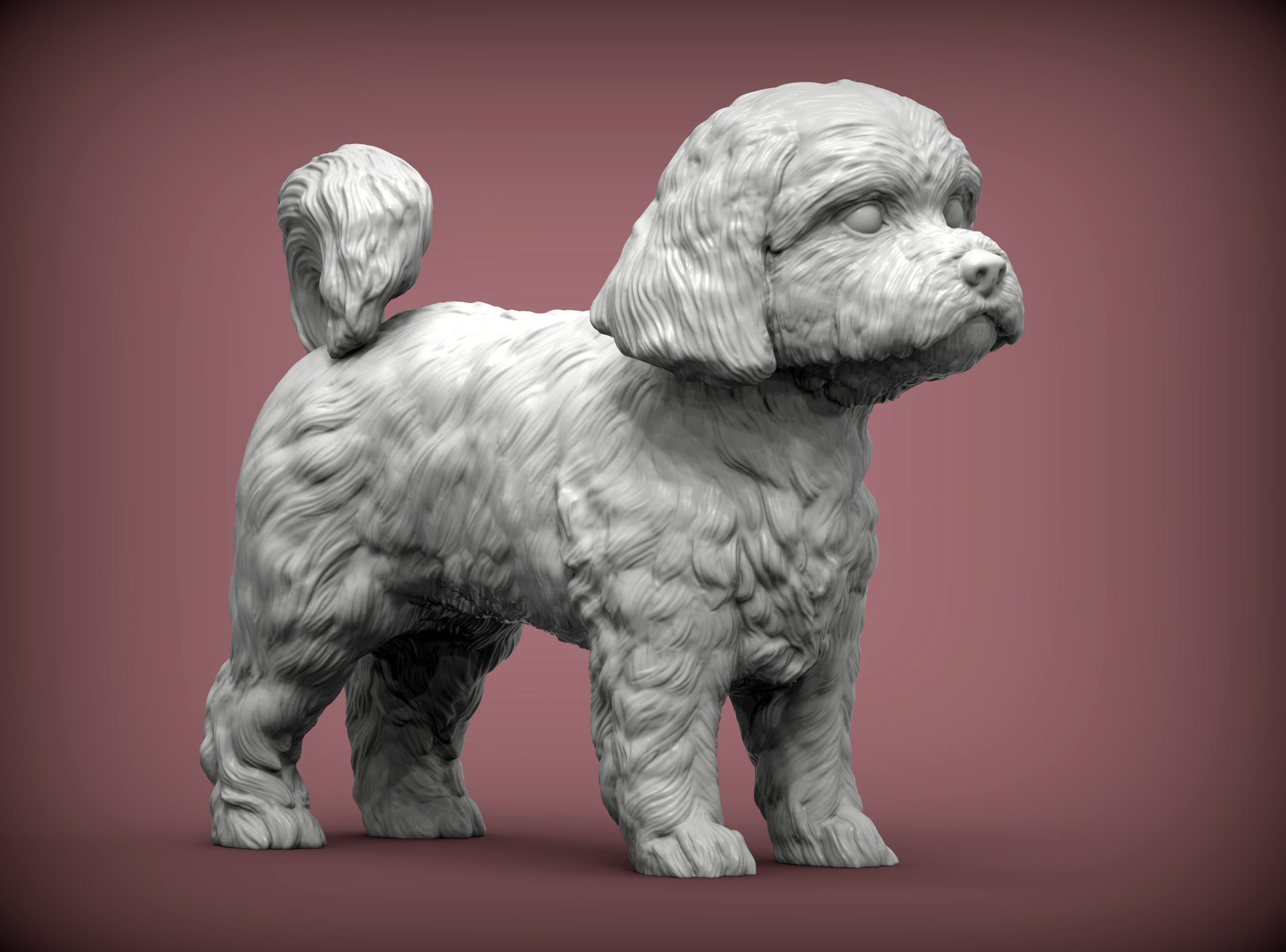 Maltese dog statue 3D print model_2