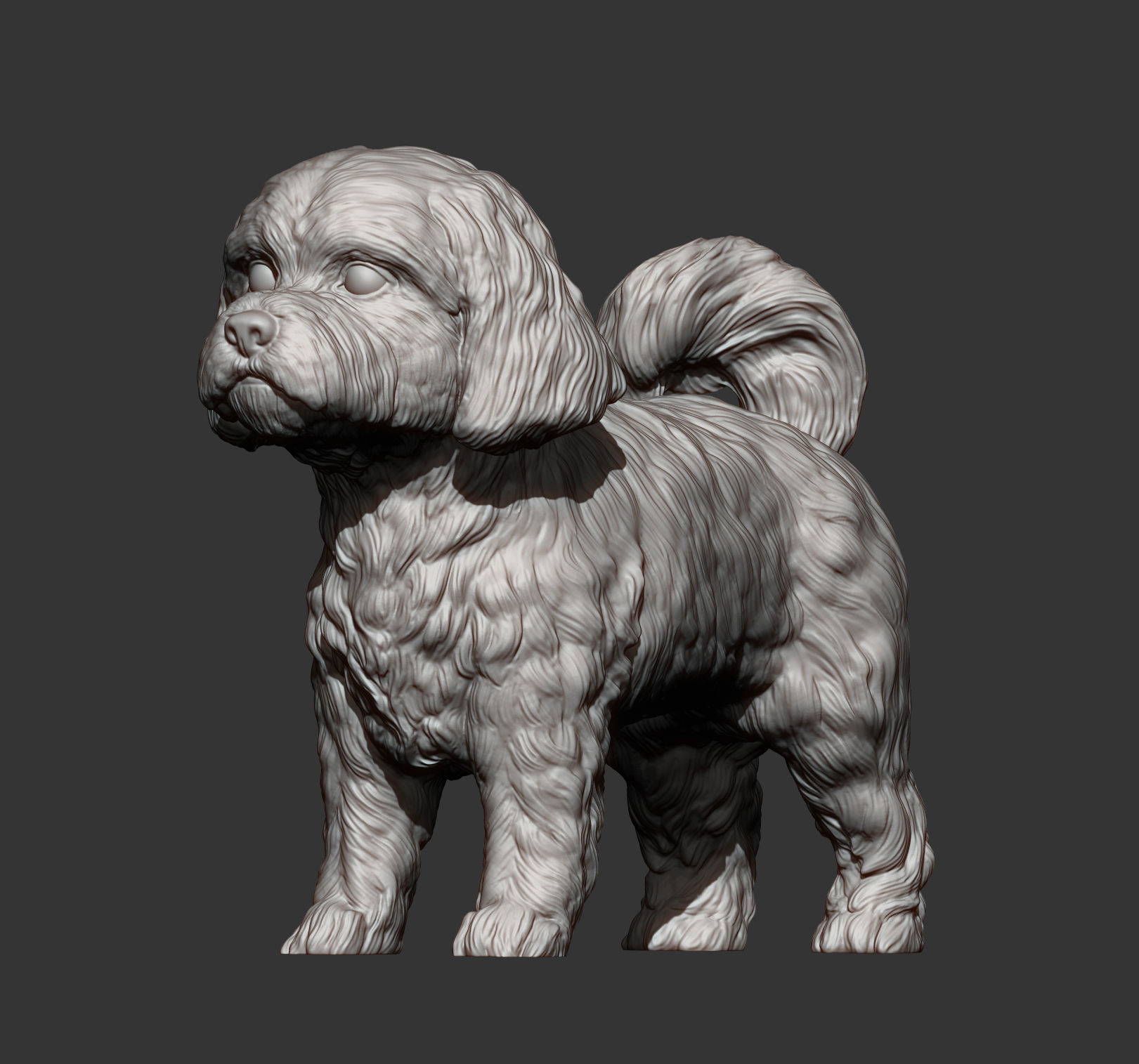 Maltese dog statue 3D print model_13