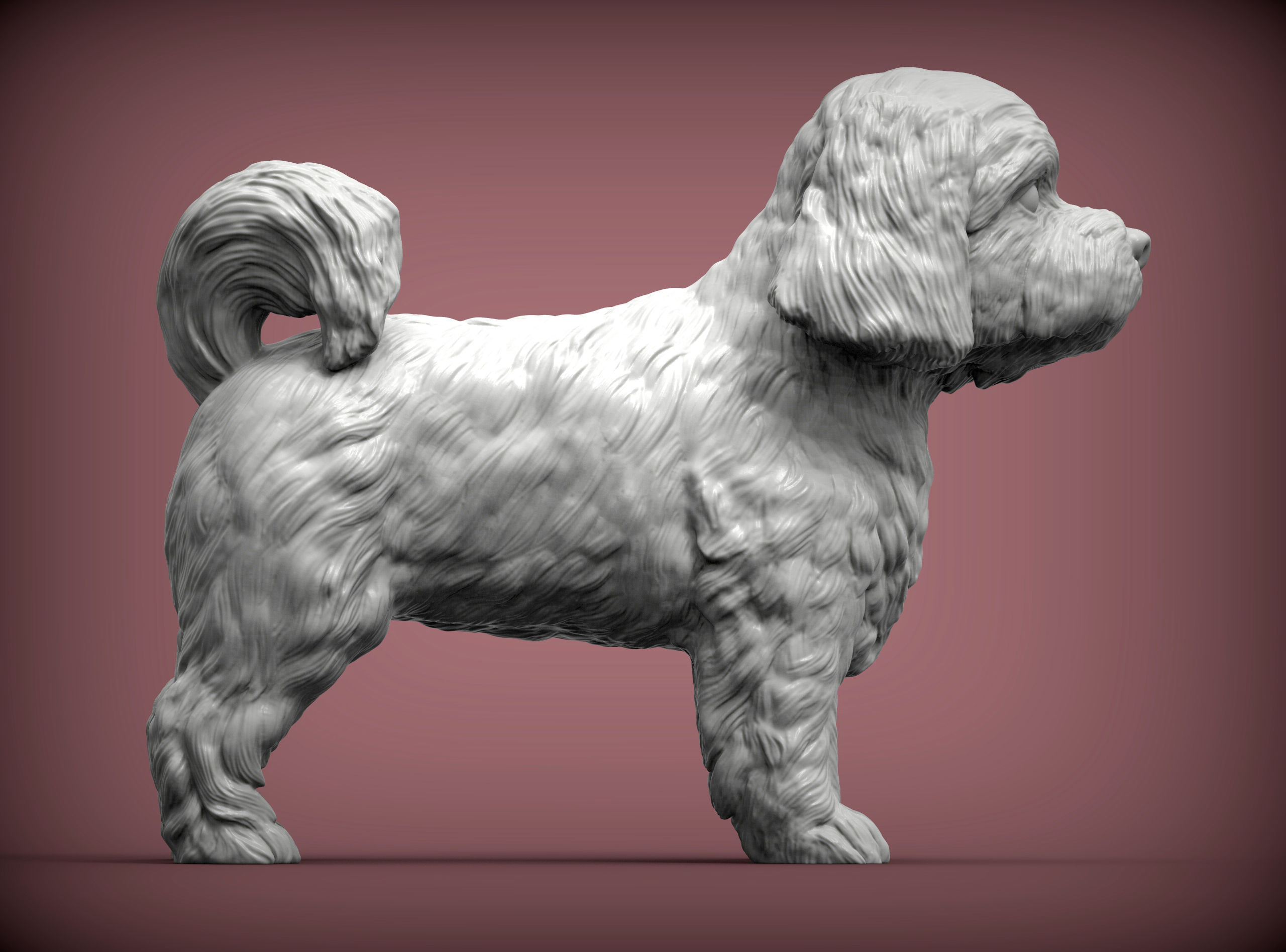 Maltese dog statue 3D print model_5