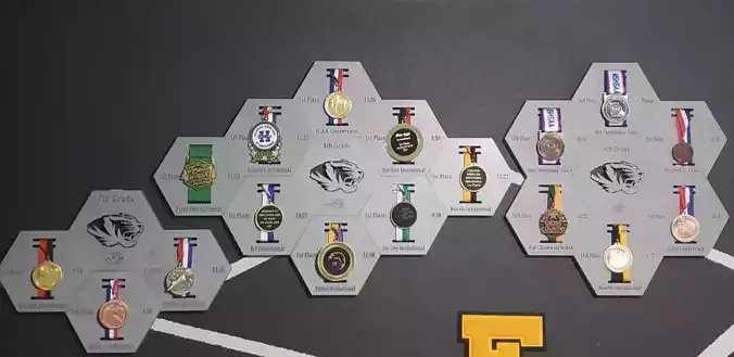Medal Display  3D print model