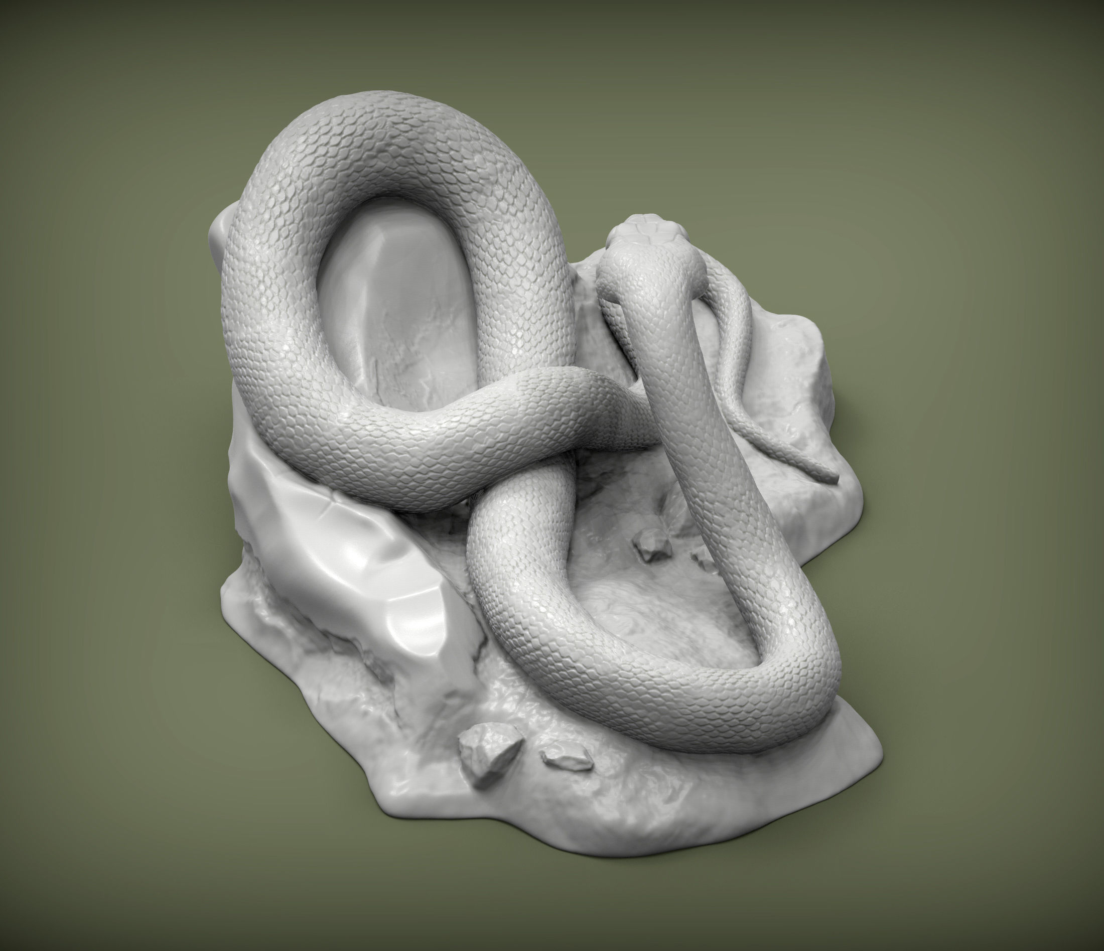 Trans-pecos rat snake 3D print model_3