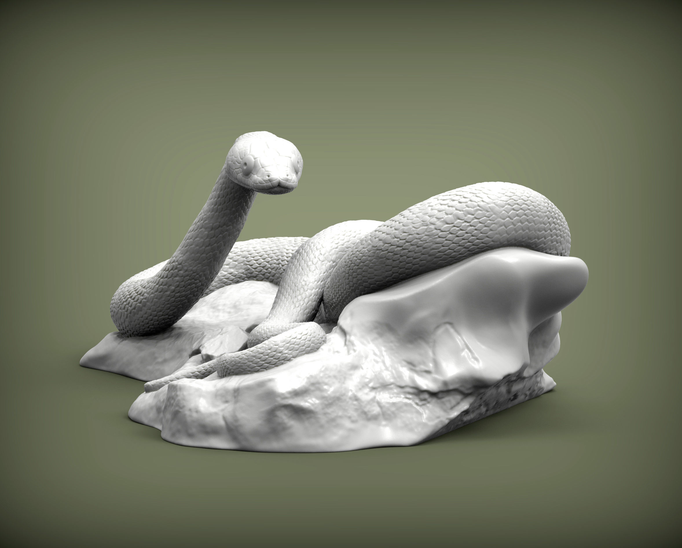 Trans-pecos rat snake 3D print model_4