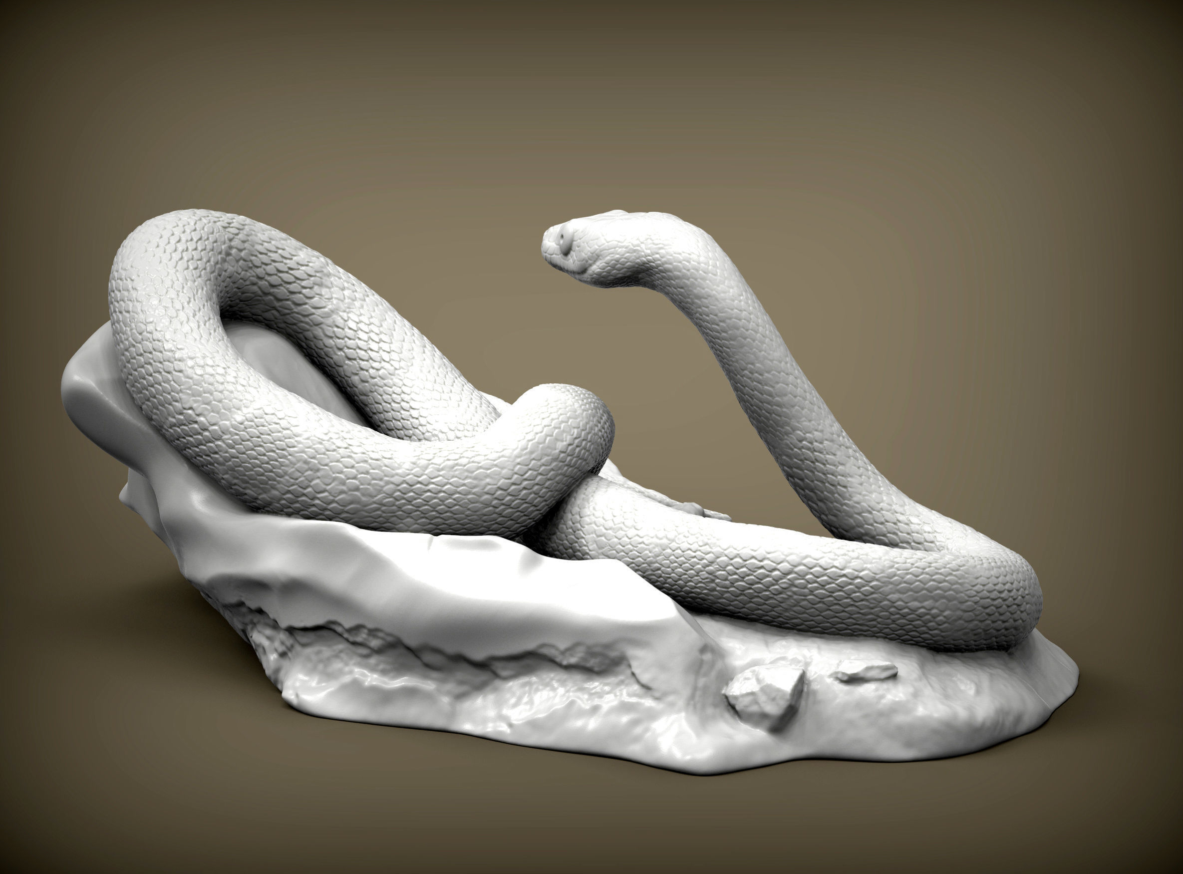 Trans-pecos rat snake 3D print model_5