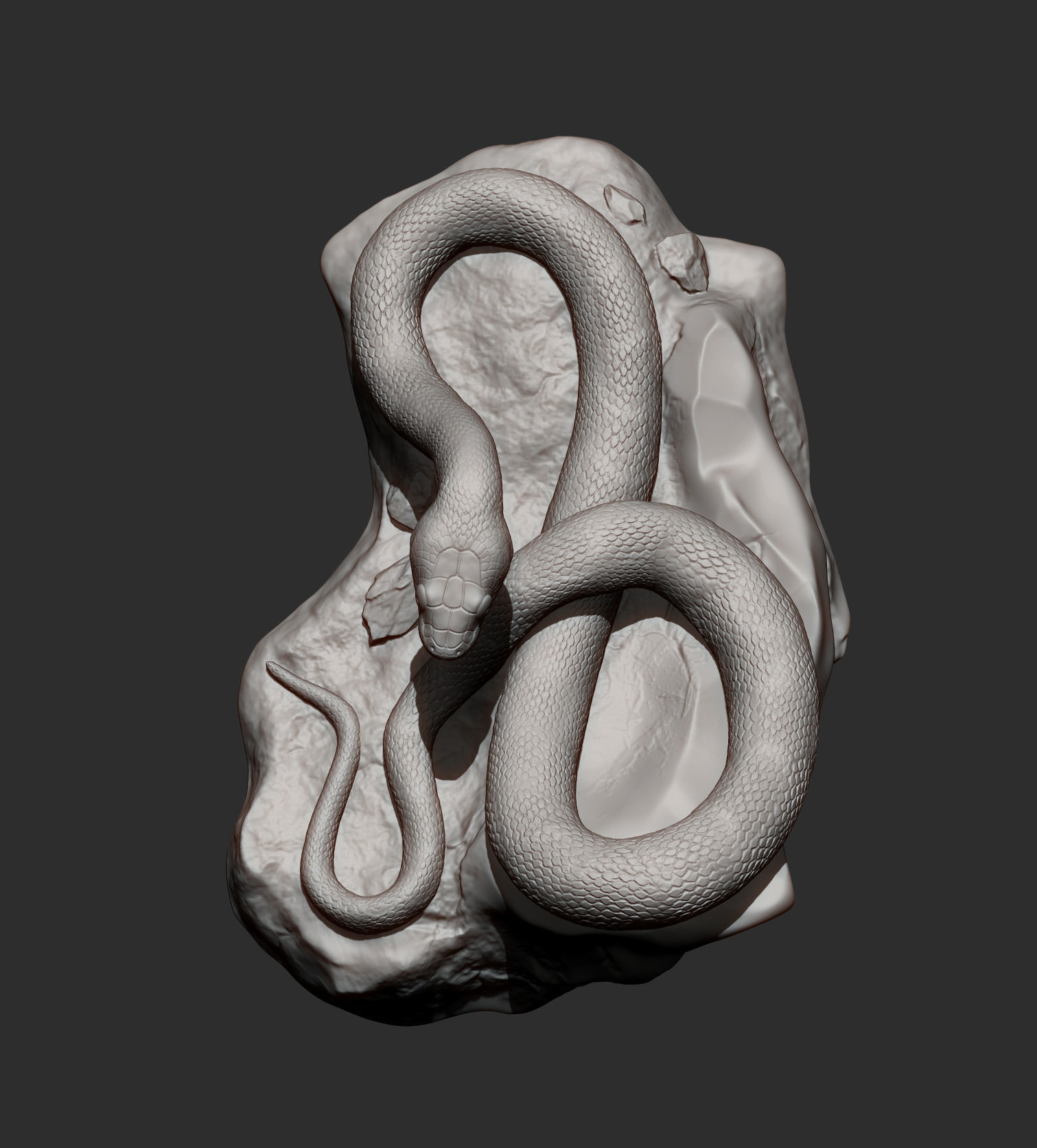 Trans-pecos rat snake 3D print model_6